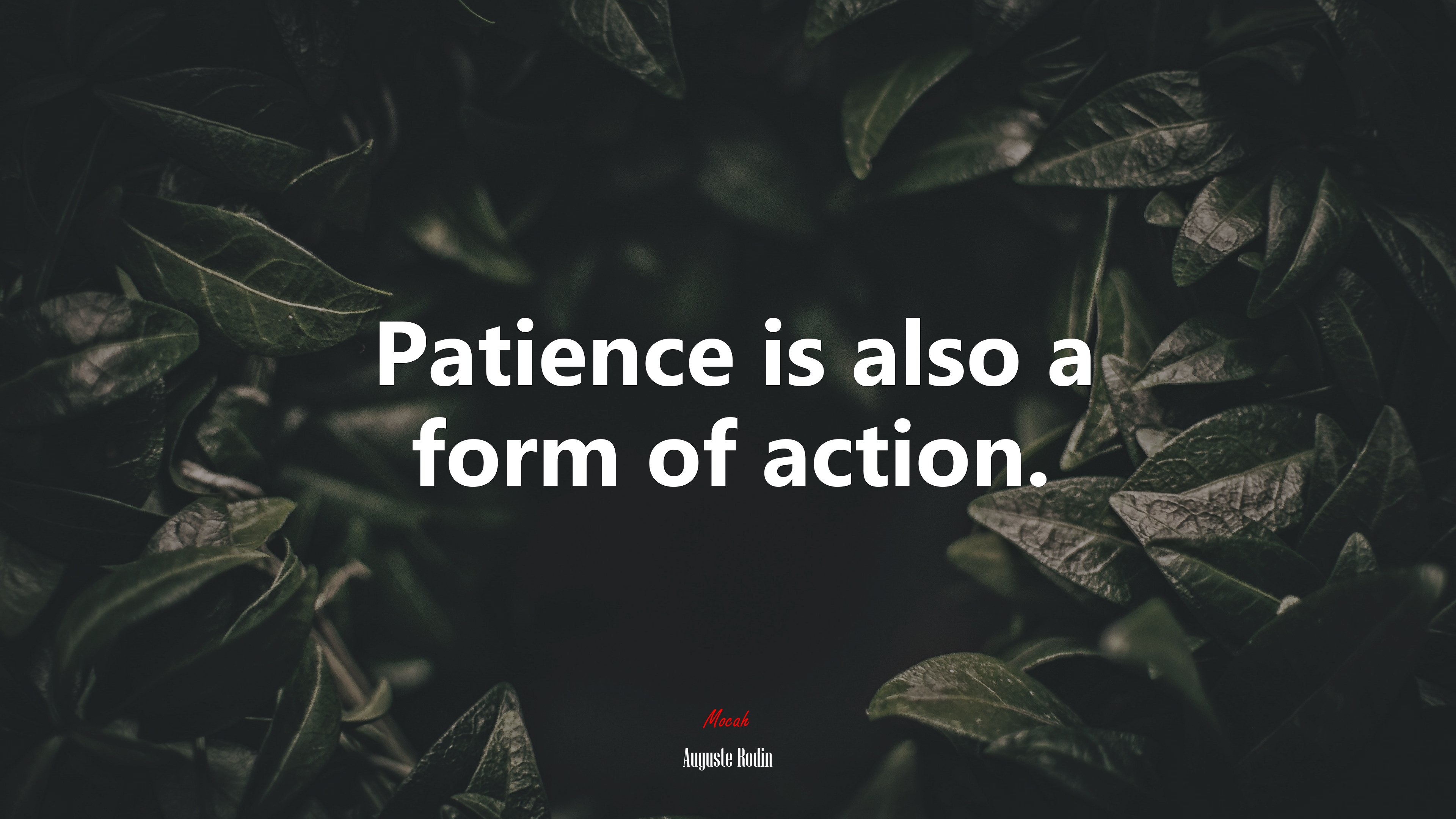 Patience is also a form of action. | Auguste Rodin quote HD Wallpaper