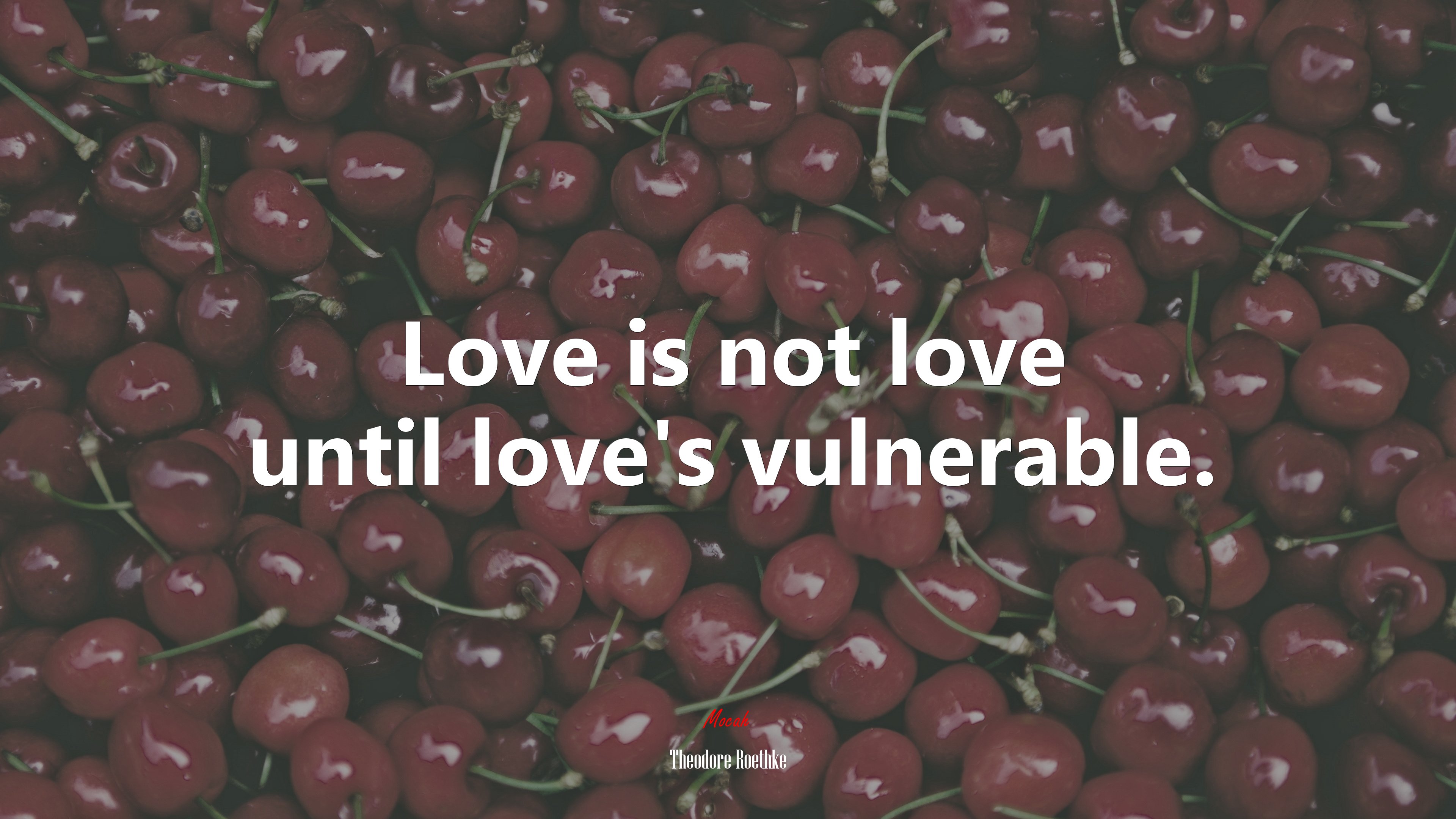Love is not love until love’s vulnerable. | Theodore Roethke quote HD Wallpaper