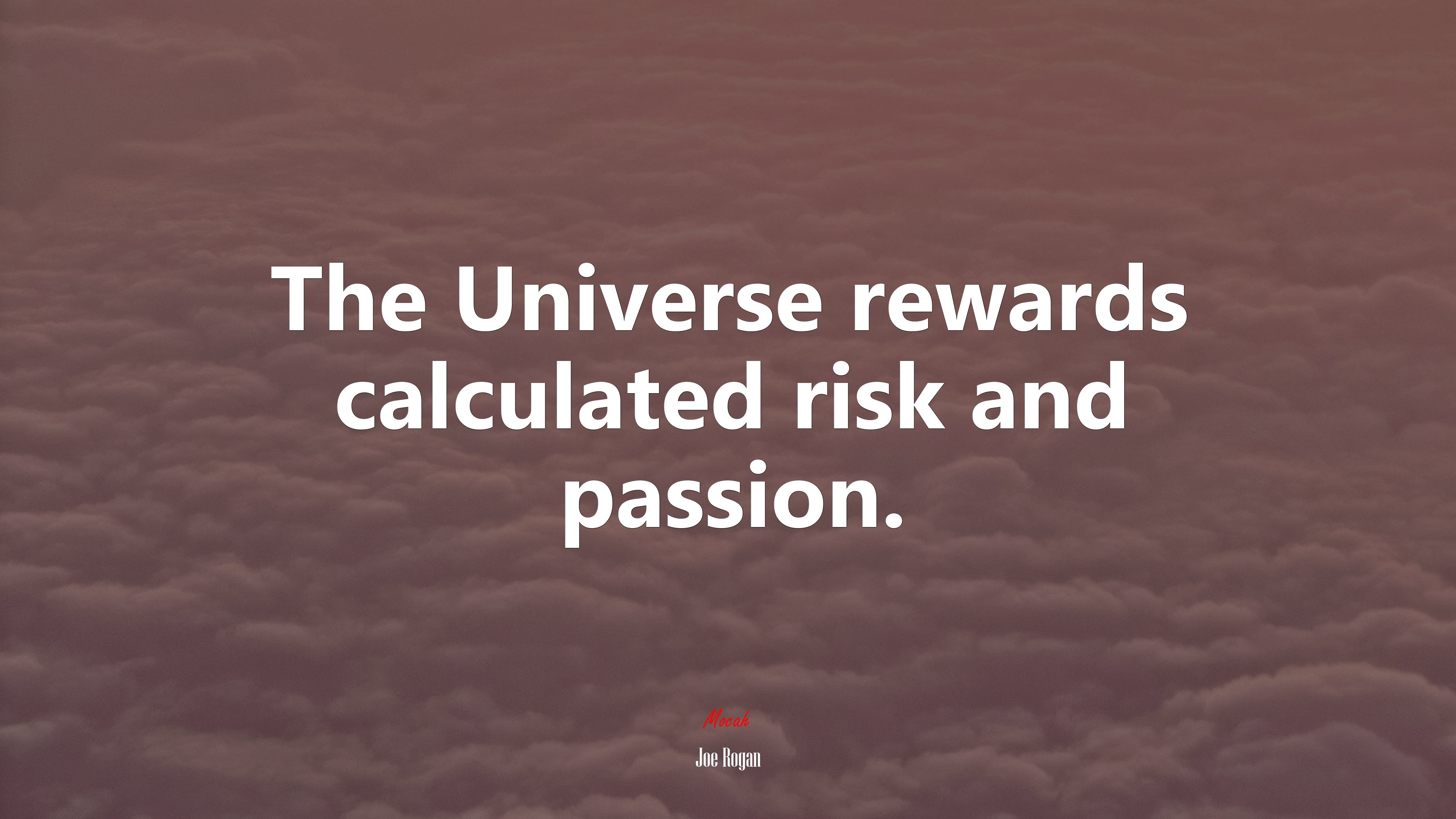 The Universe rewards calculated risk and passion. | Joe Rogan quote HD Wallpaper