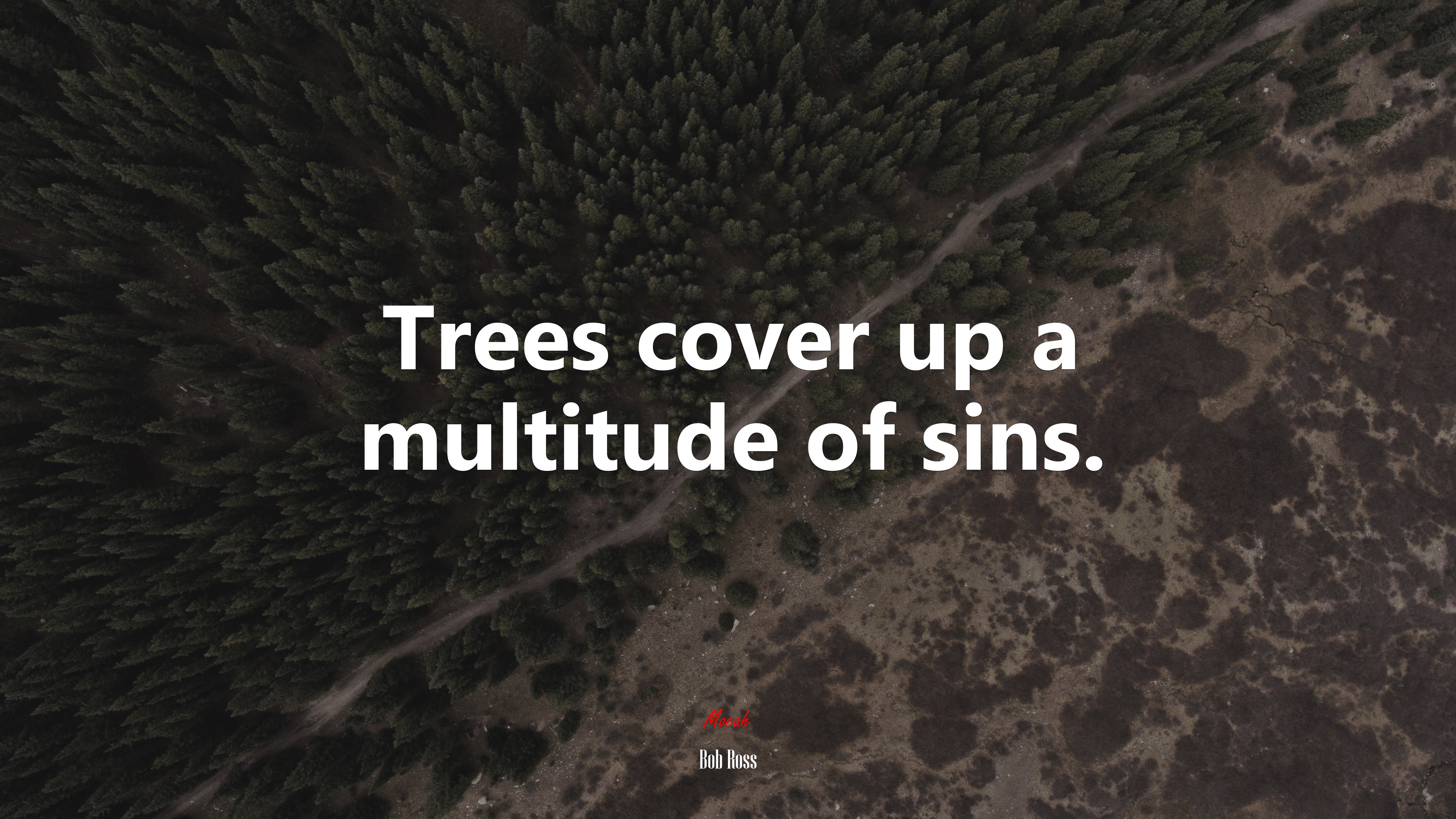 Trees cover up a multitude of sins. | Bob Ross quote HD Wallpaper
