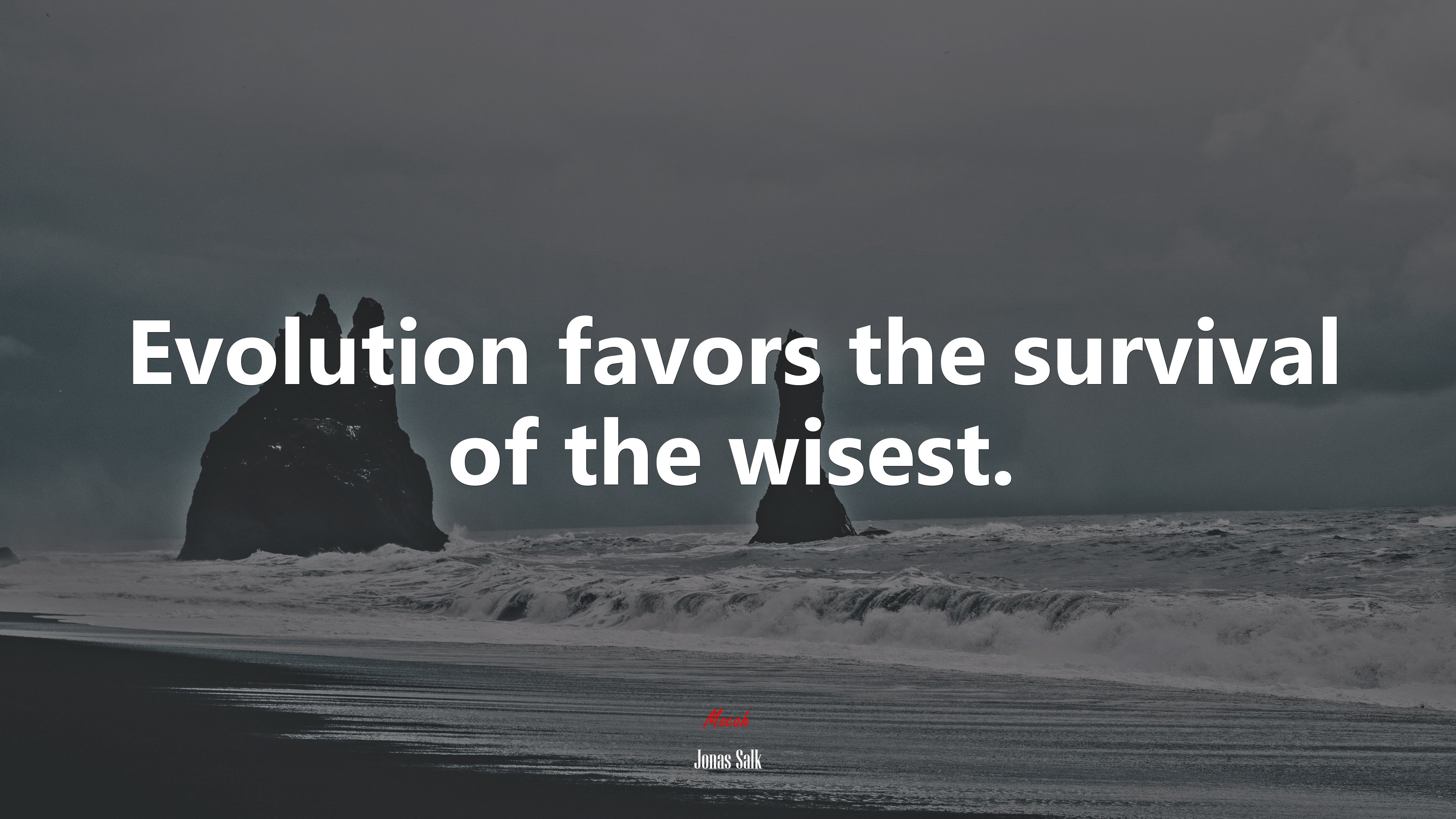 Evolution favors the survival of the wisest. | Jonas Salk quote HD Wallpaper