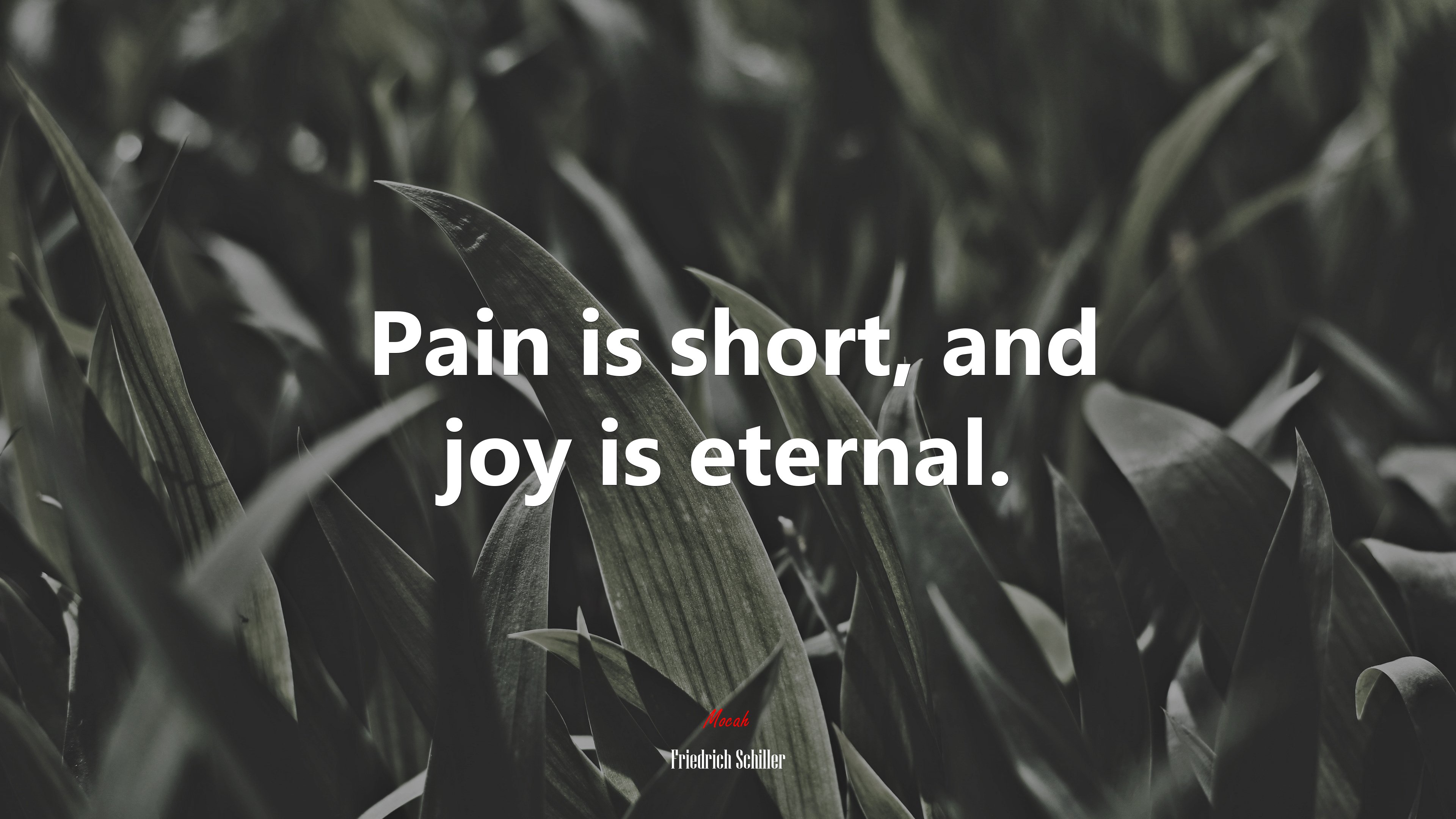 Pain is short, and joy is eternal. | Friedrich Schiller quote HD Wallpaper