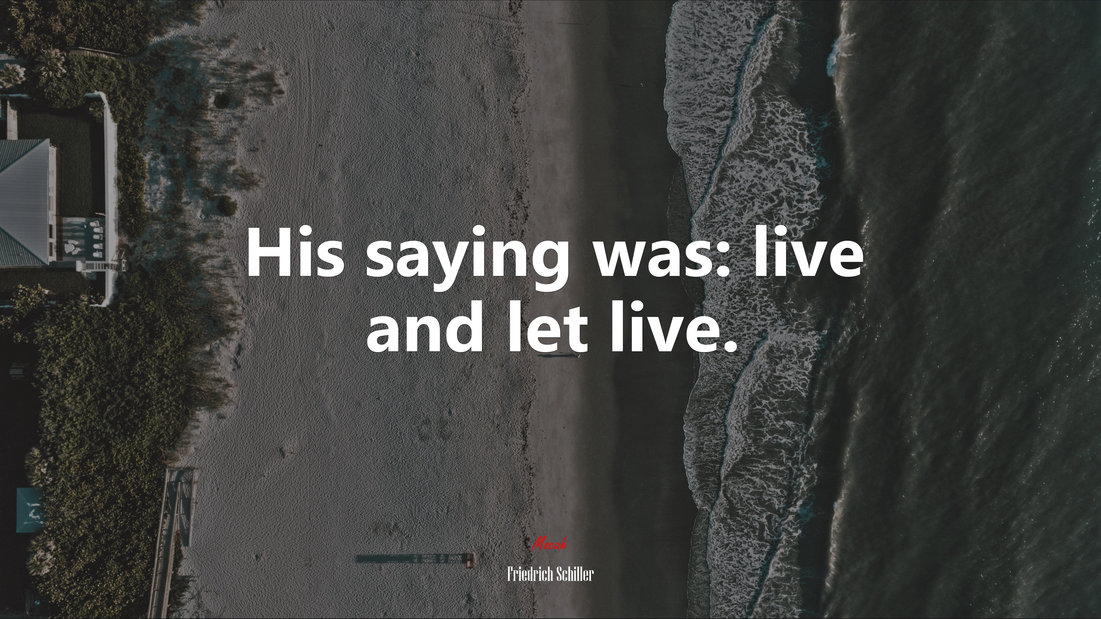 His saying was: live and let live. | Friedrich Schiller quote HD Wallpaper