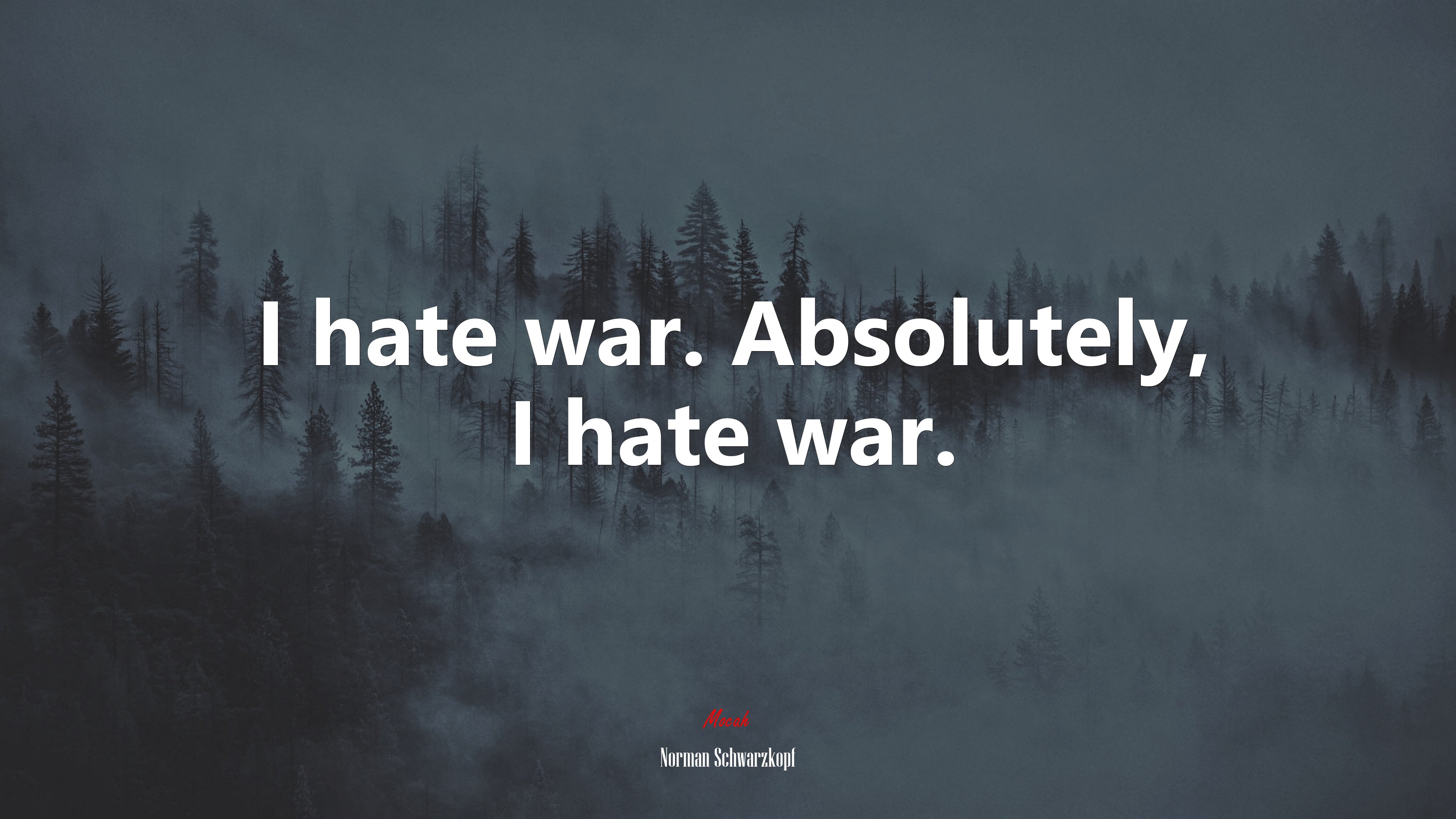 I hate war. Absolutely, I hate war. | Norman Schwarzkopf quote HD Wallpaper