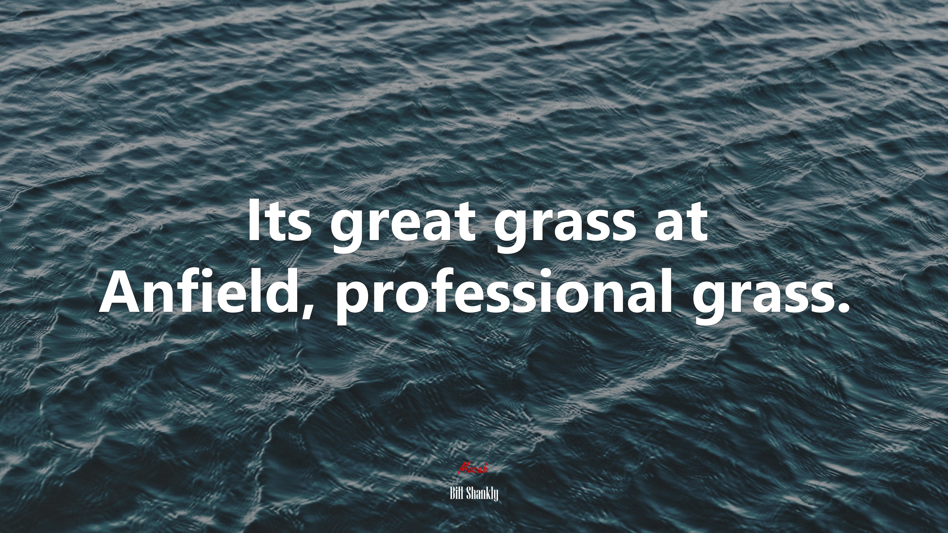 Its great grass at Anfield, professional grass. | Bill Shankly quote HD Wallpaper