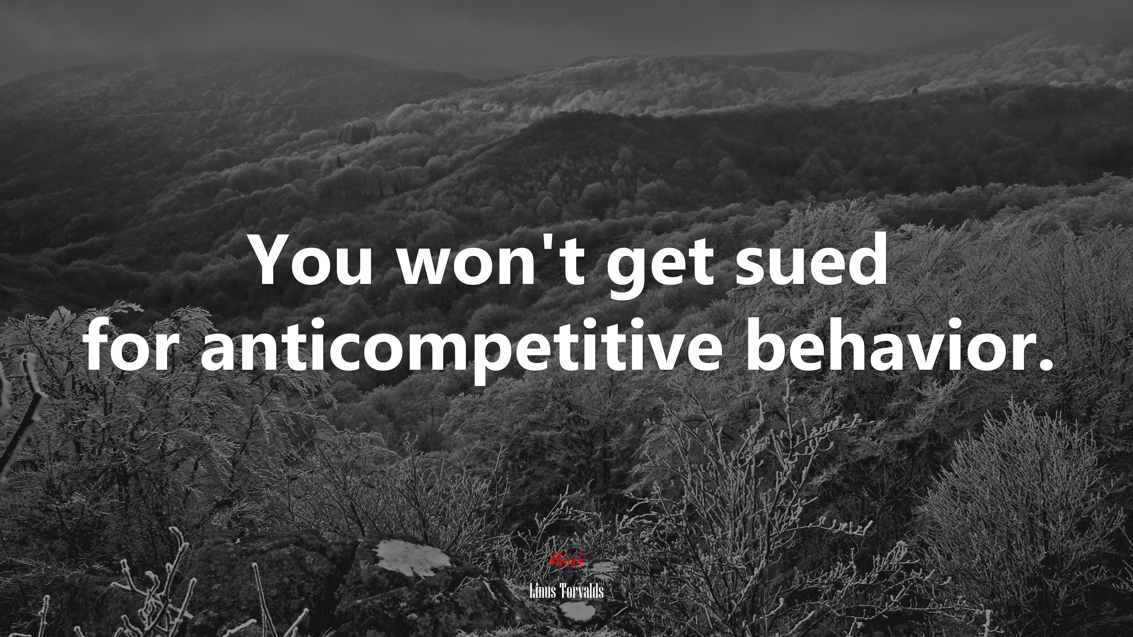 You won’t get sued for anticompetitive behavior. | Linus Torvalds quote HD Wallpaper