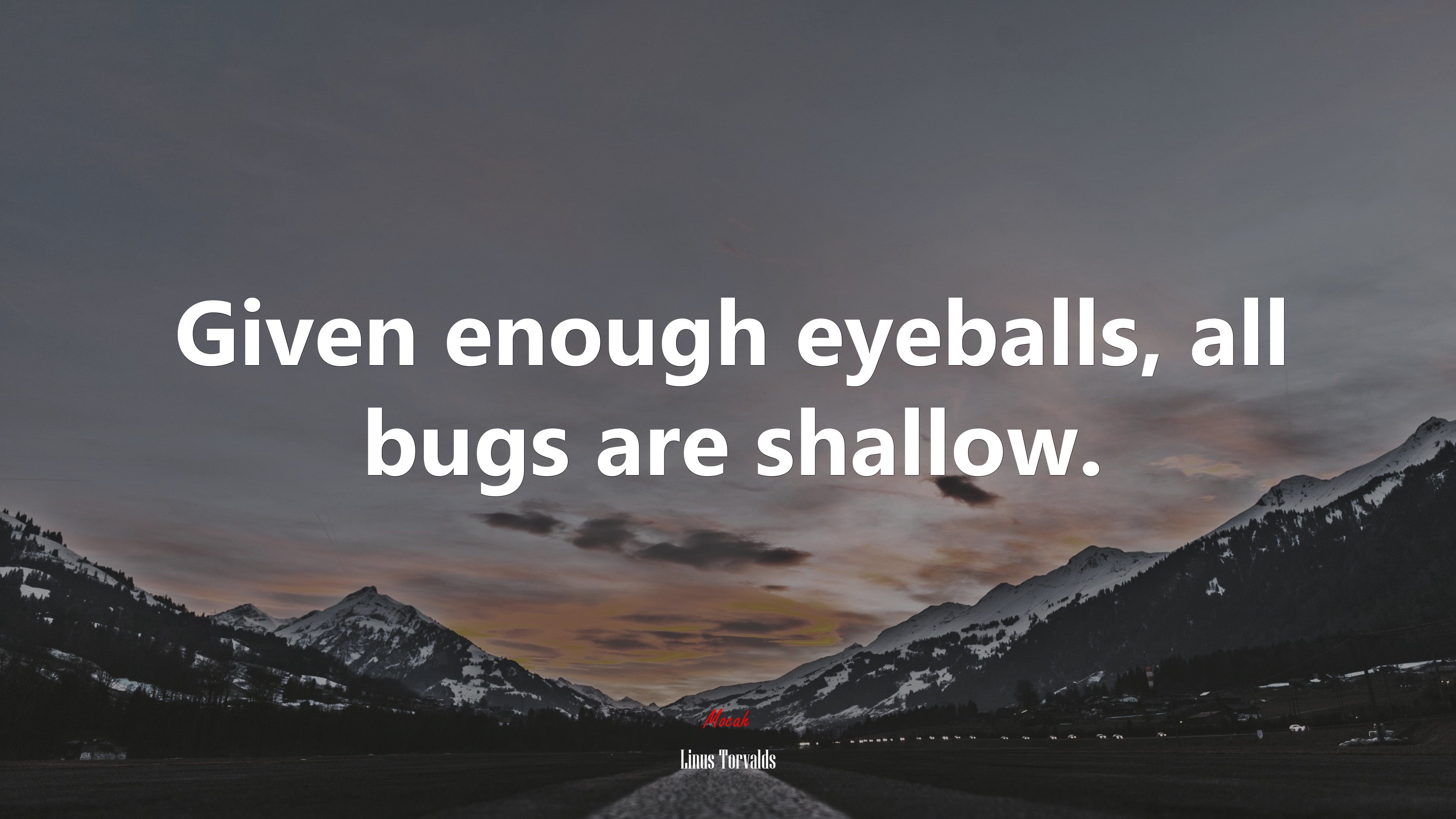Given enough eyeballs, all bugs are shallow. | Linus Torvalds quote HD Wallpaper