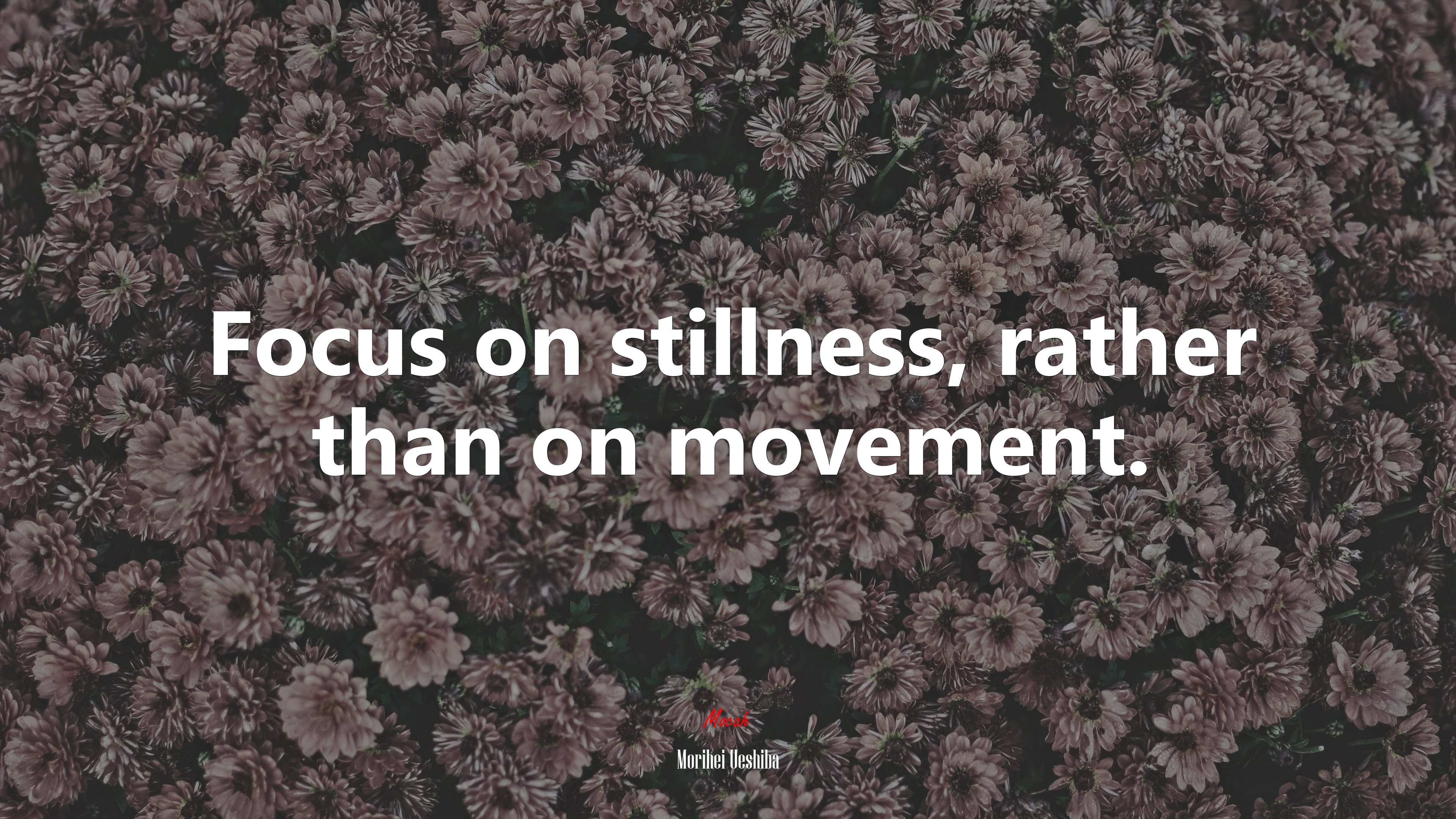 Focus on stillness, rather than on movement. | Morihei Ueshiba quote HD Wallpaper
