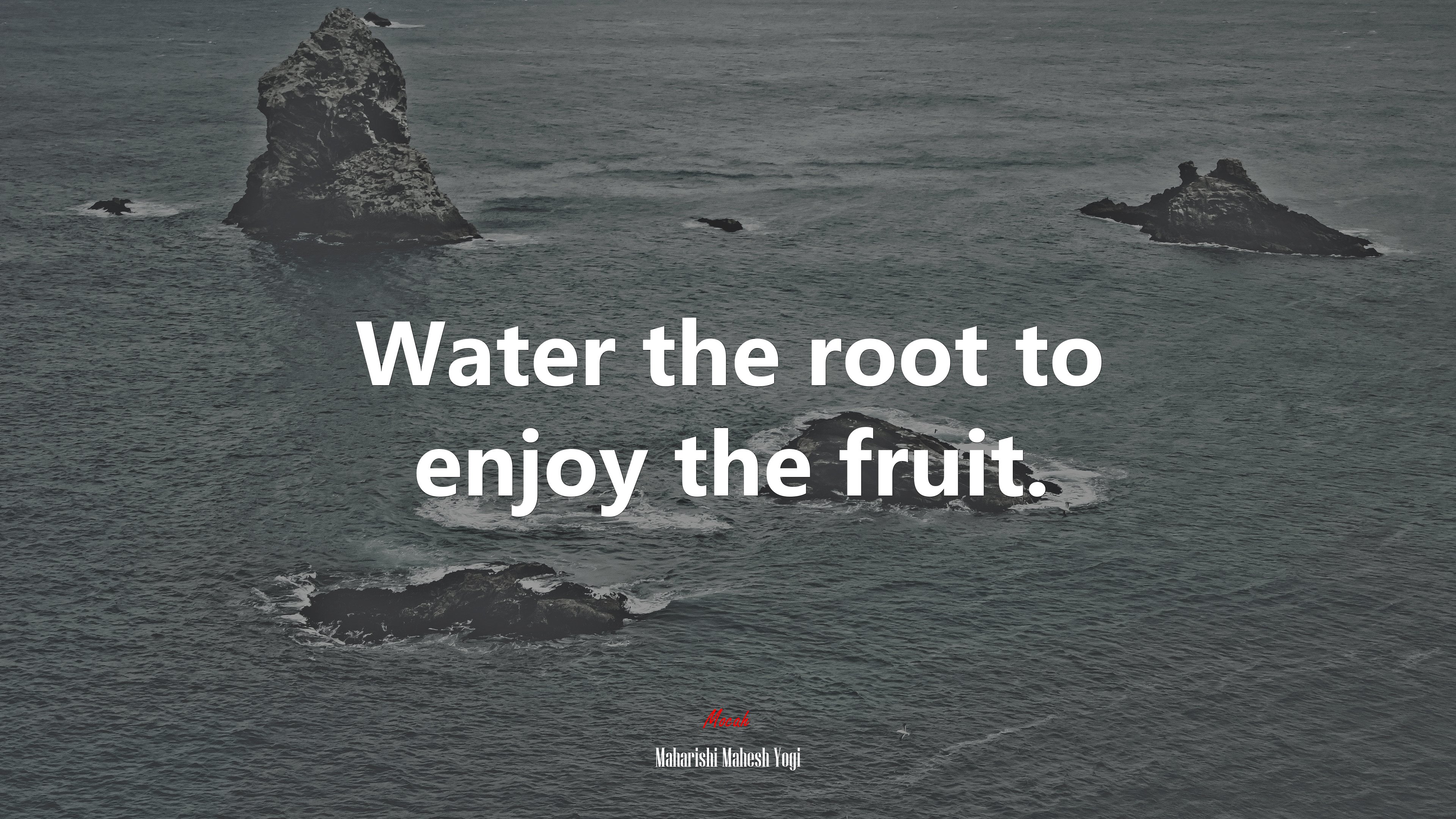 Water the root to enjoy the fruit. | Maharishi Mahesh Yogi quote HD Wallpaper