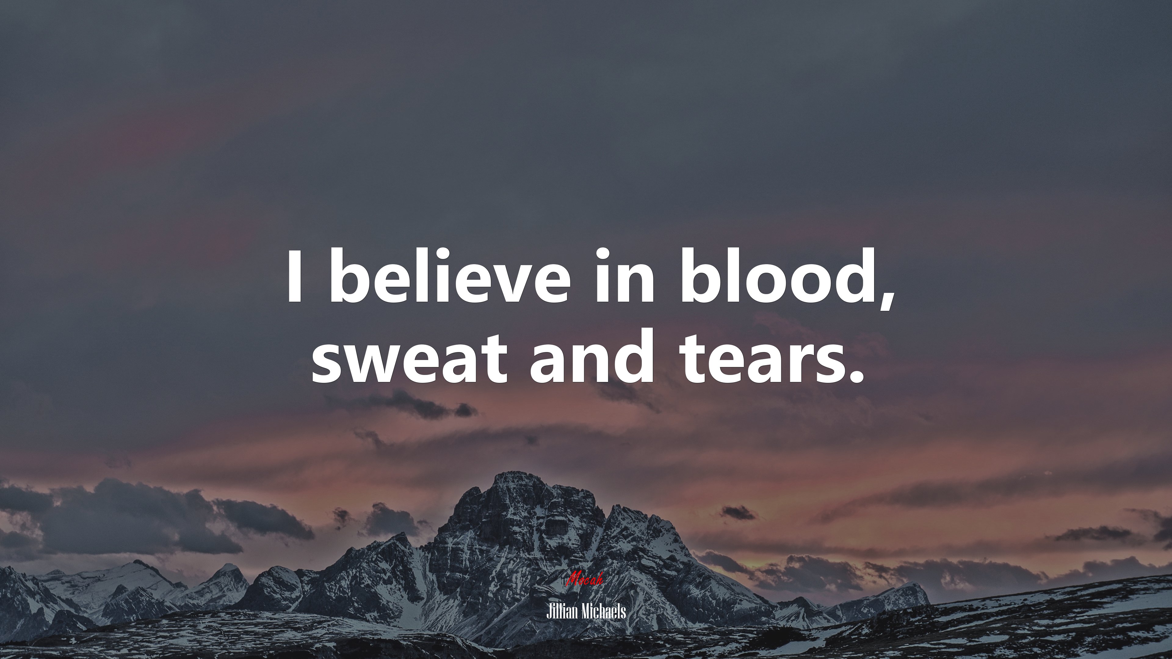 I believe in blood, sweat and tears. | Jillian Michaels quote HD Wallpaper