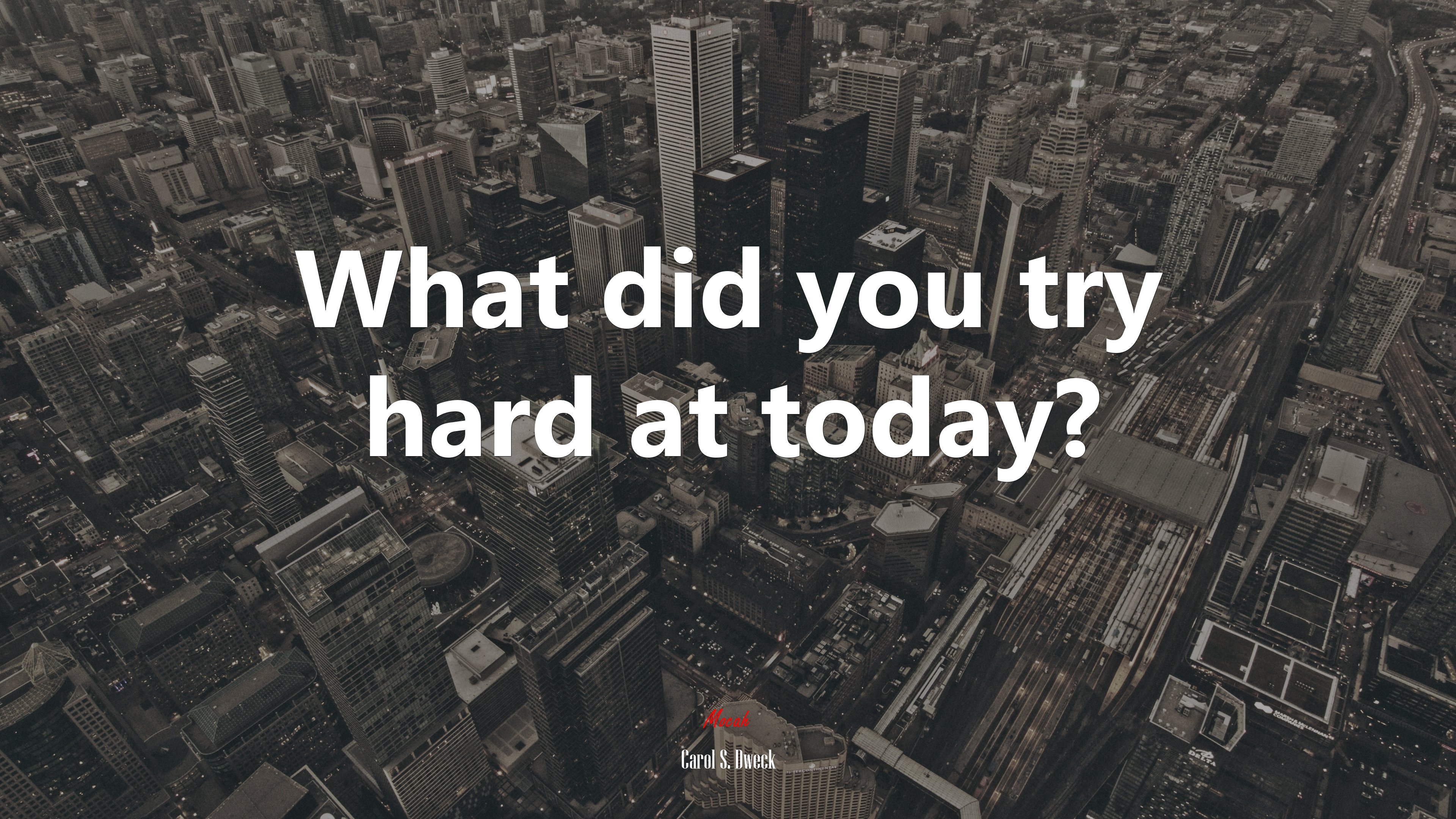 What did you try hard at today? | Carol S. Dweck quote HD Wallpaper