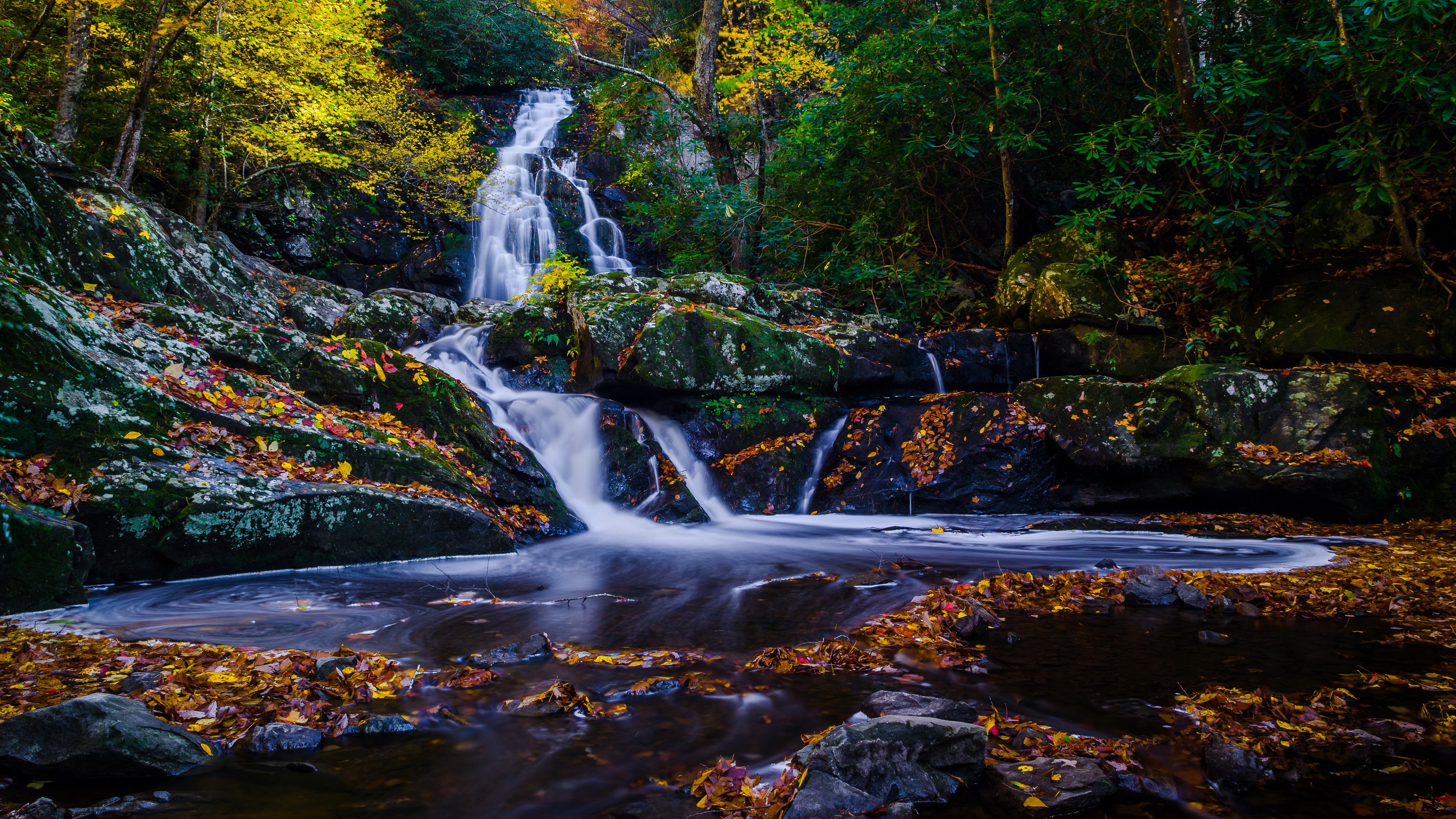 Waterfall cascading over mossy rocks in autumn forest HD Wallpaper