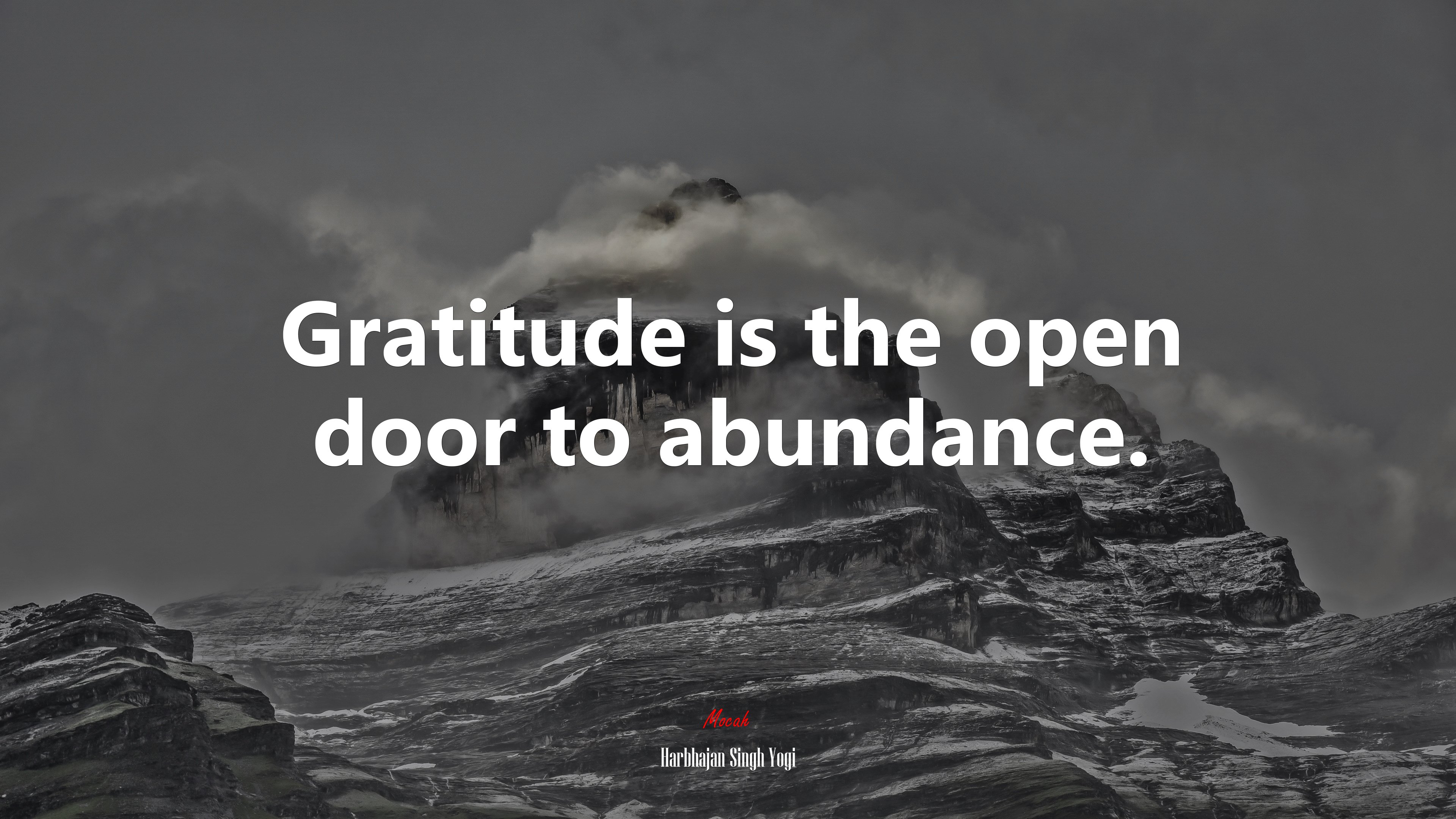 Gratitude is the open door to abundance. | Harbhajan Singh Yogi quote HD Wallpaper