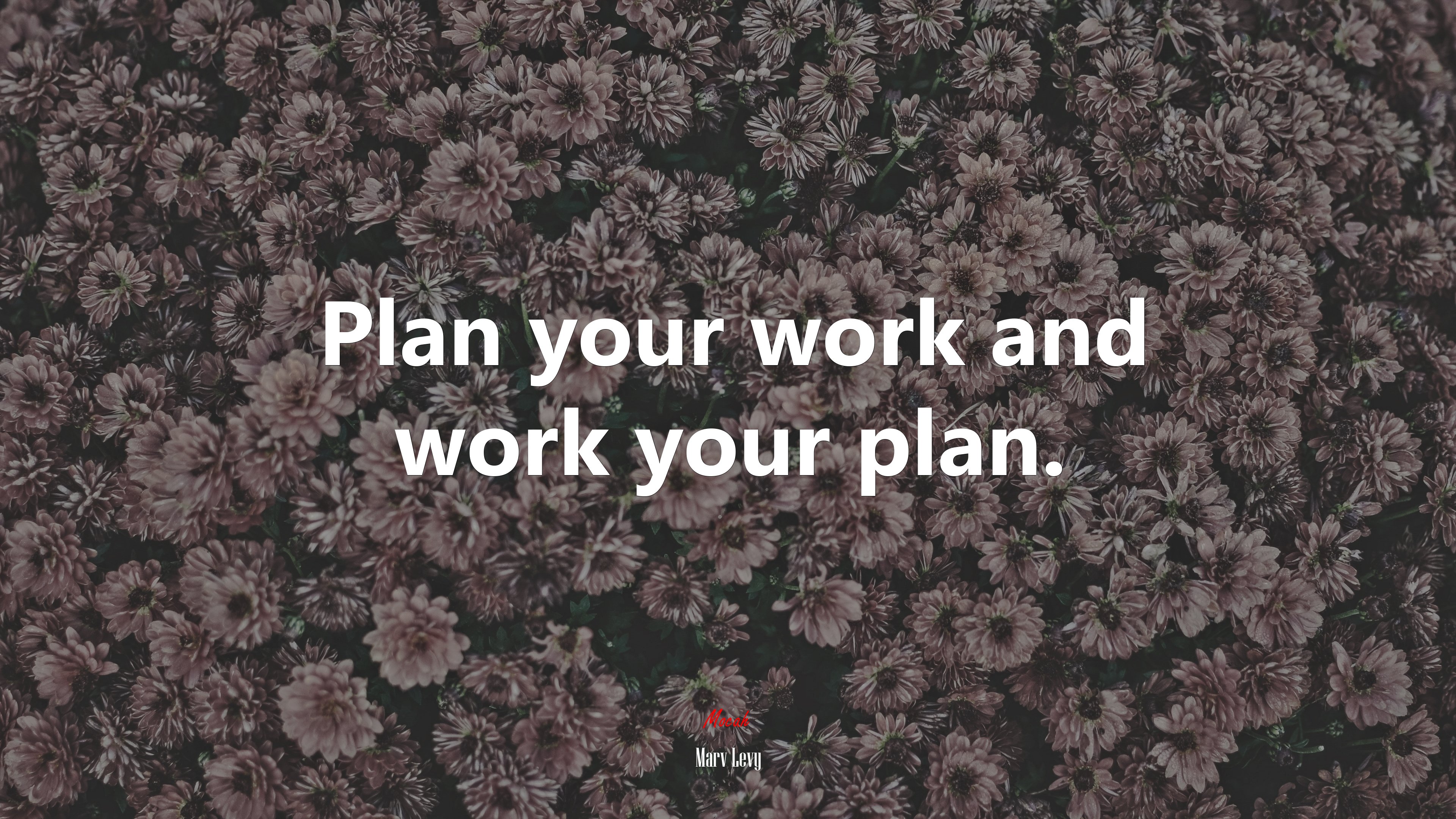 Plan your work and work your plan. | Marv Levy quote HD Wallpaper