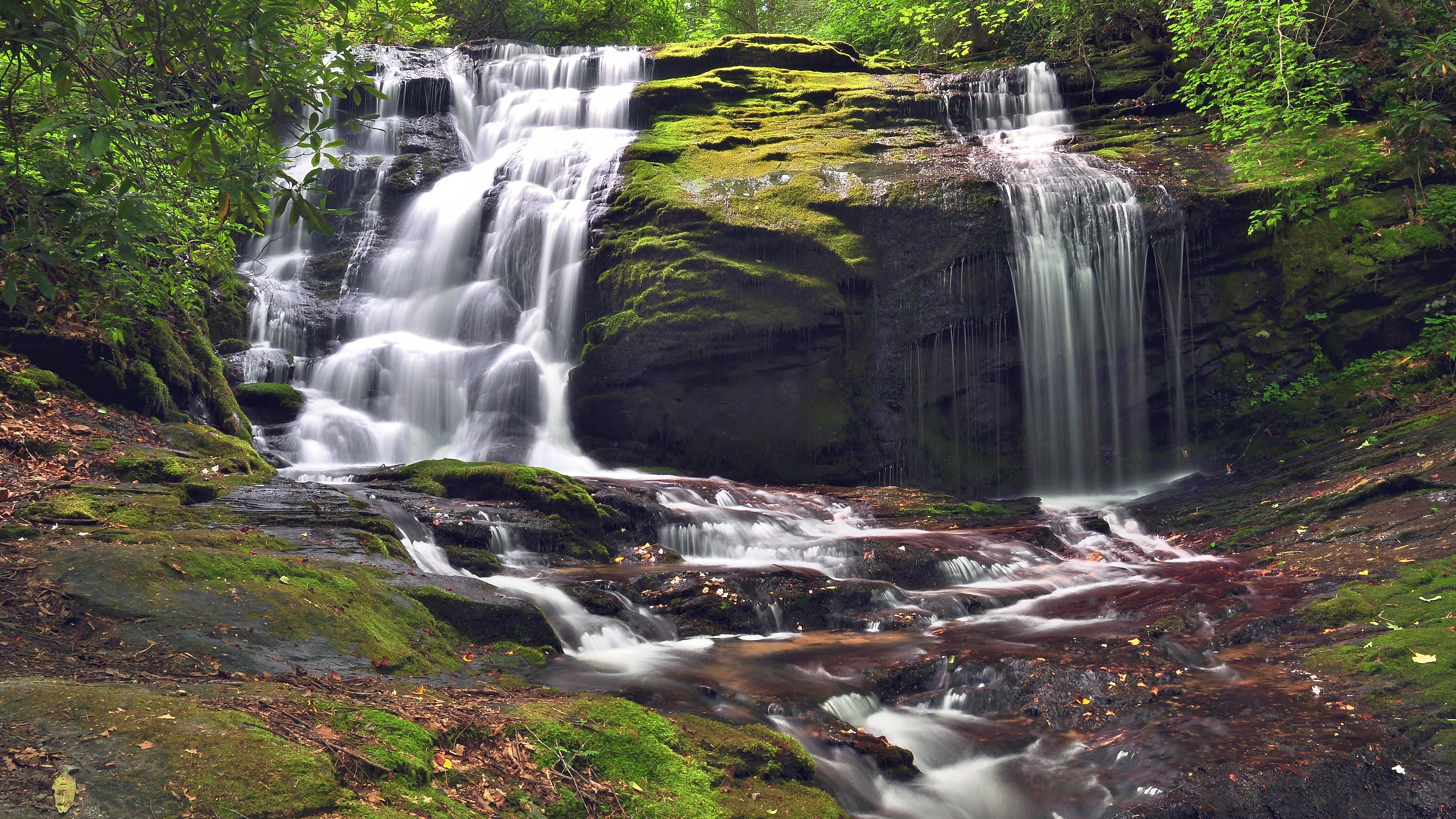 Waterfall cascading over moss-covered rocks in a forest HD Wallpaper