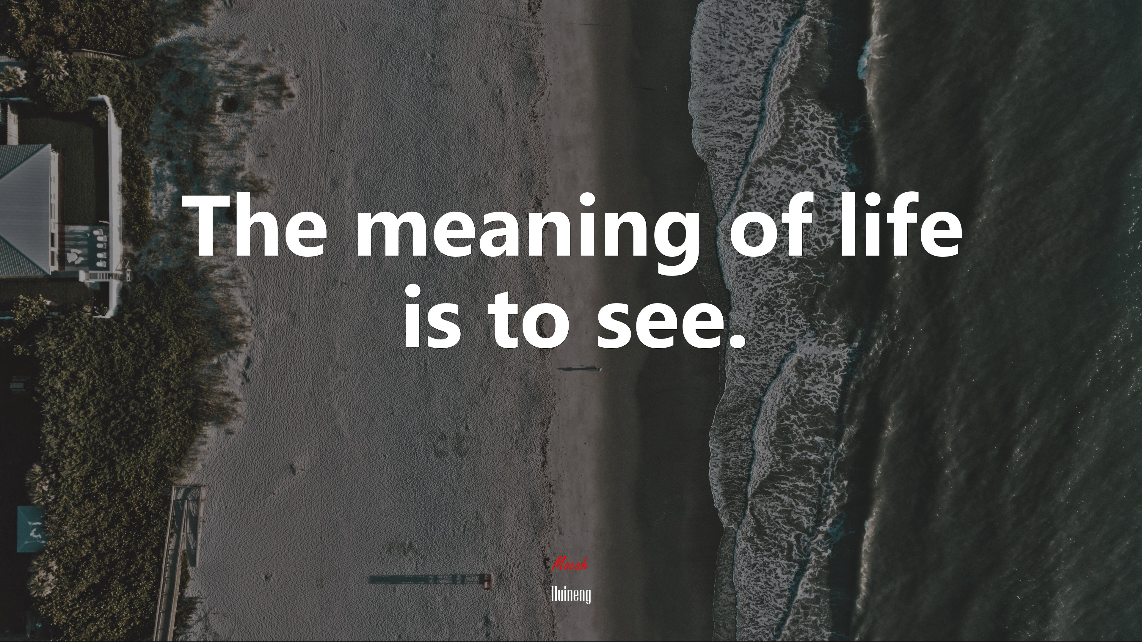 The meaning of life is to see. | Huineng quote HD Wallpaper
