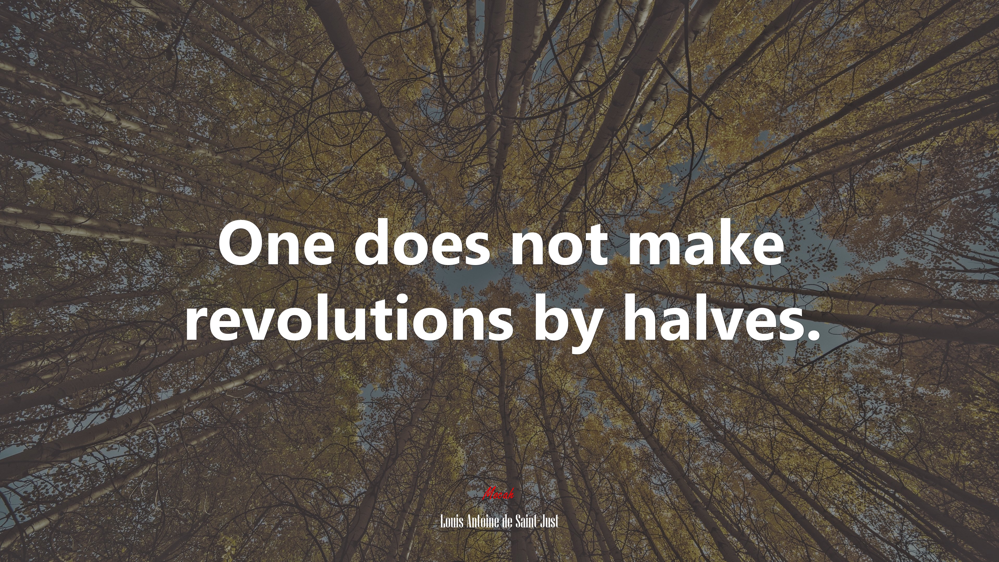 One does not make revolutions by halves. | Louis Antoine de Saint-Just quote HD Wallpaper