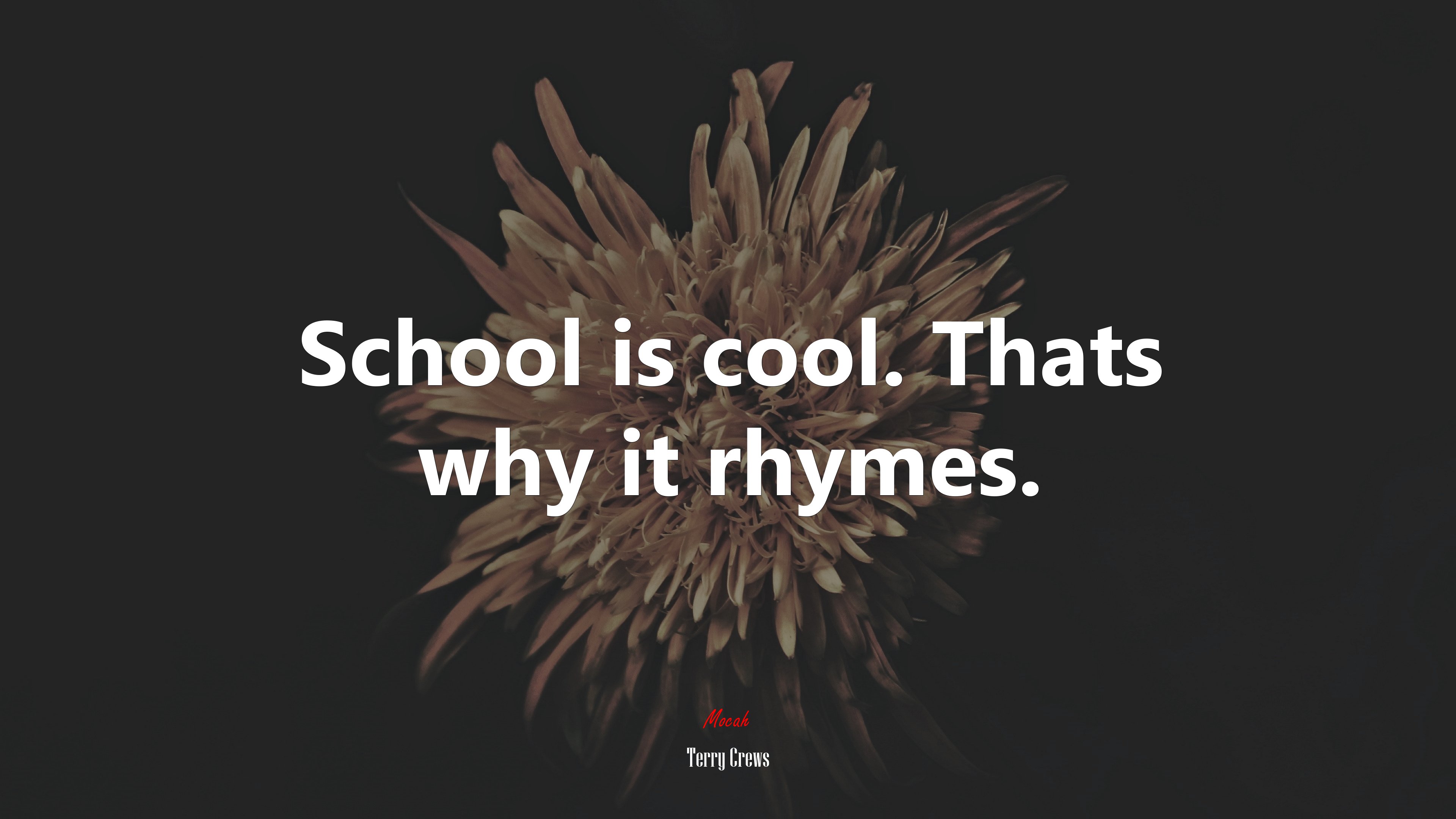 School is cool. Thats why it rhymes. | Terry Crews quote HD Wallpaper