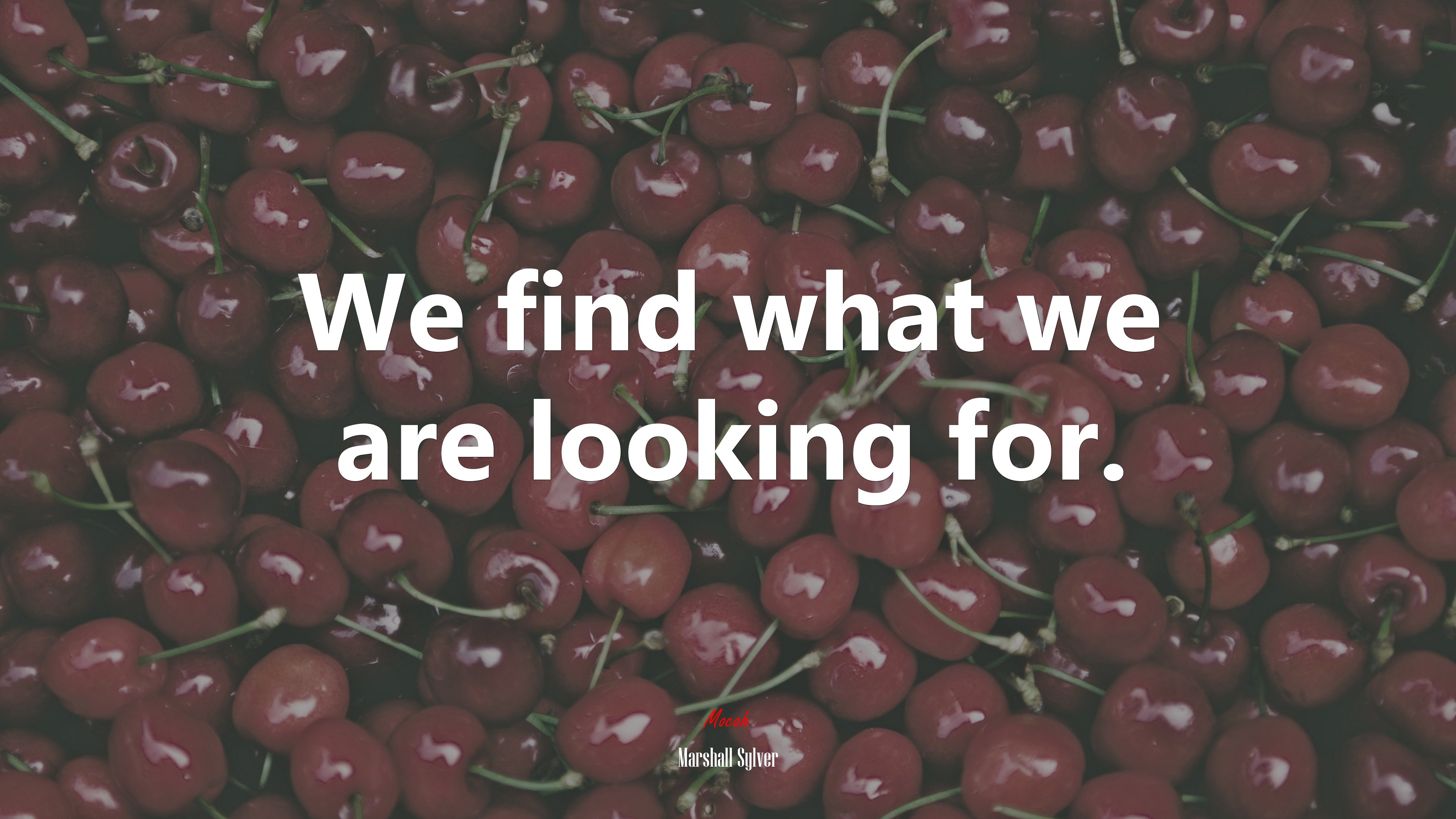 We find what we are looking for. | Marshall Sylver quote HD Wallpaper