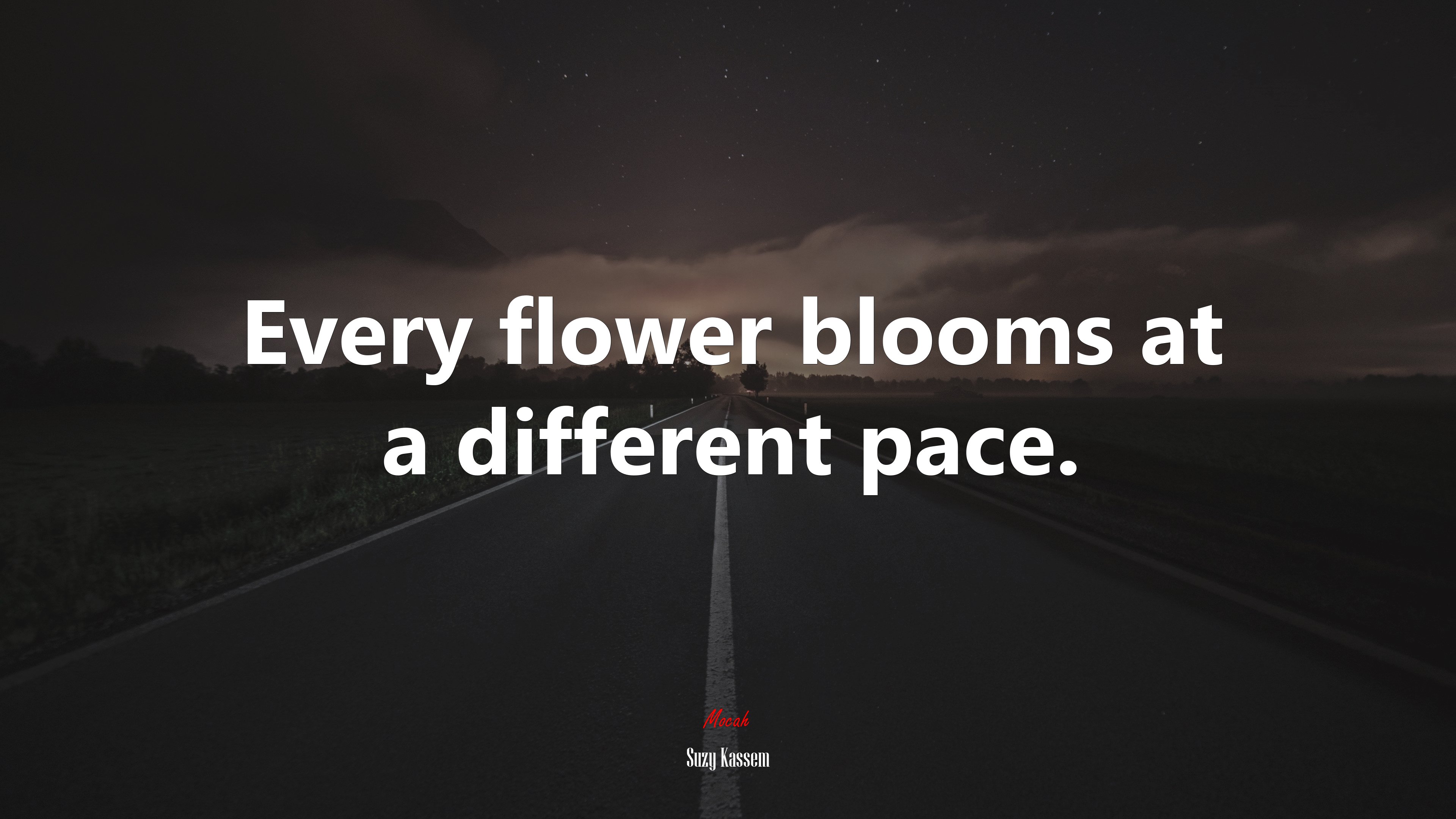 Every flower blooms at a different pace. | Suzy Kassem quote HD Wallpaper