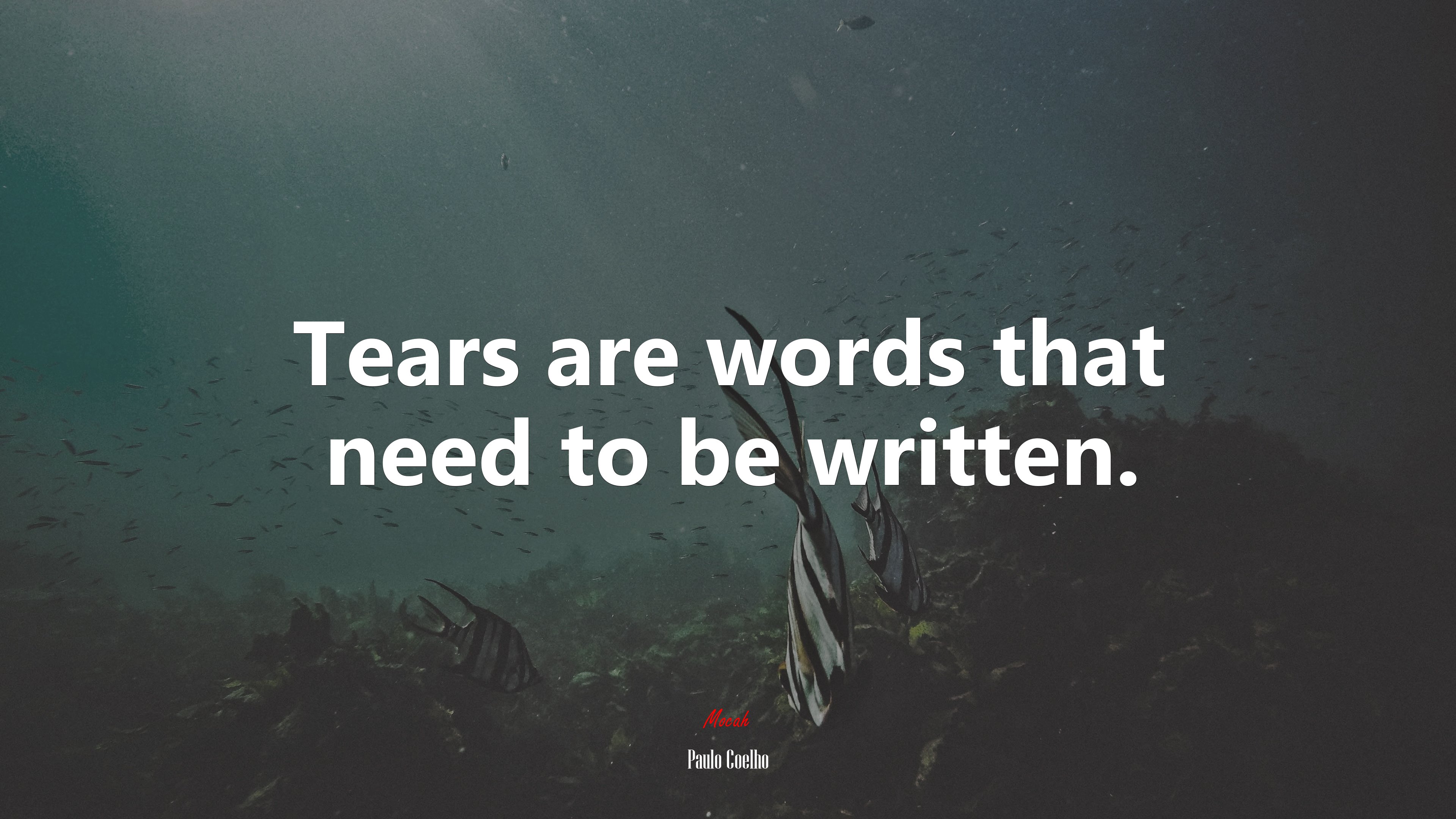 Tears are words that need to be written. | Paulo Coelho quote HD Wallpaper