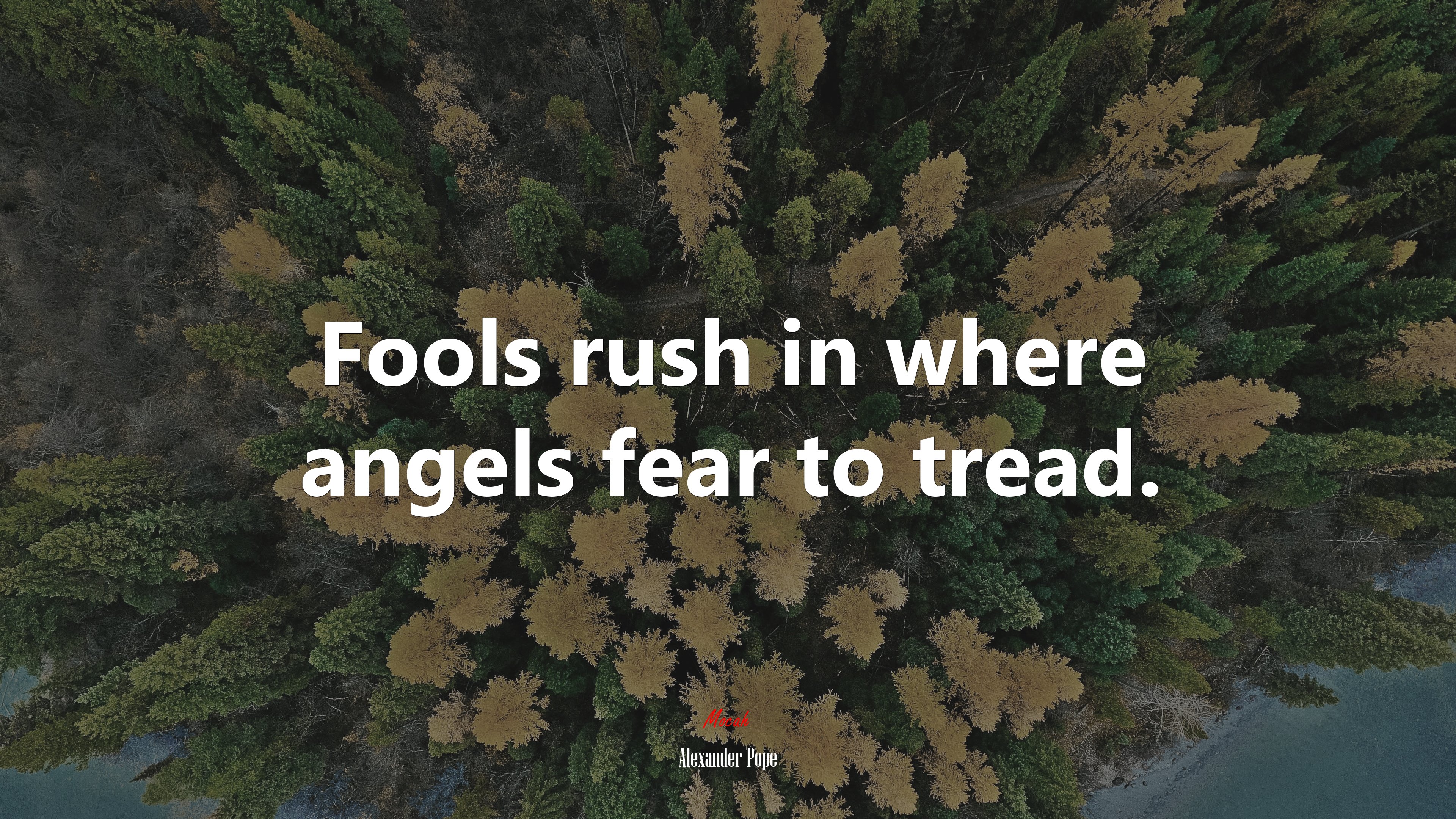 Fools rush in where angels fear to tread. | Alexander Pope quote HD Wallpaper