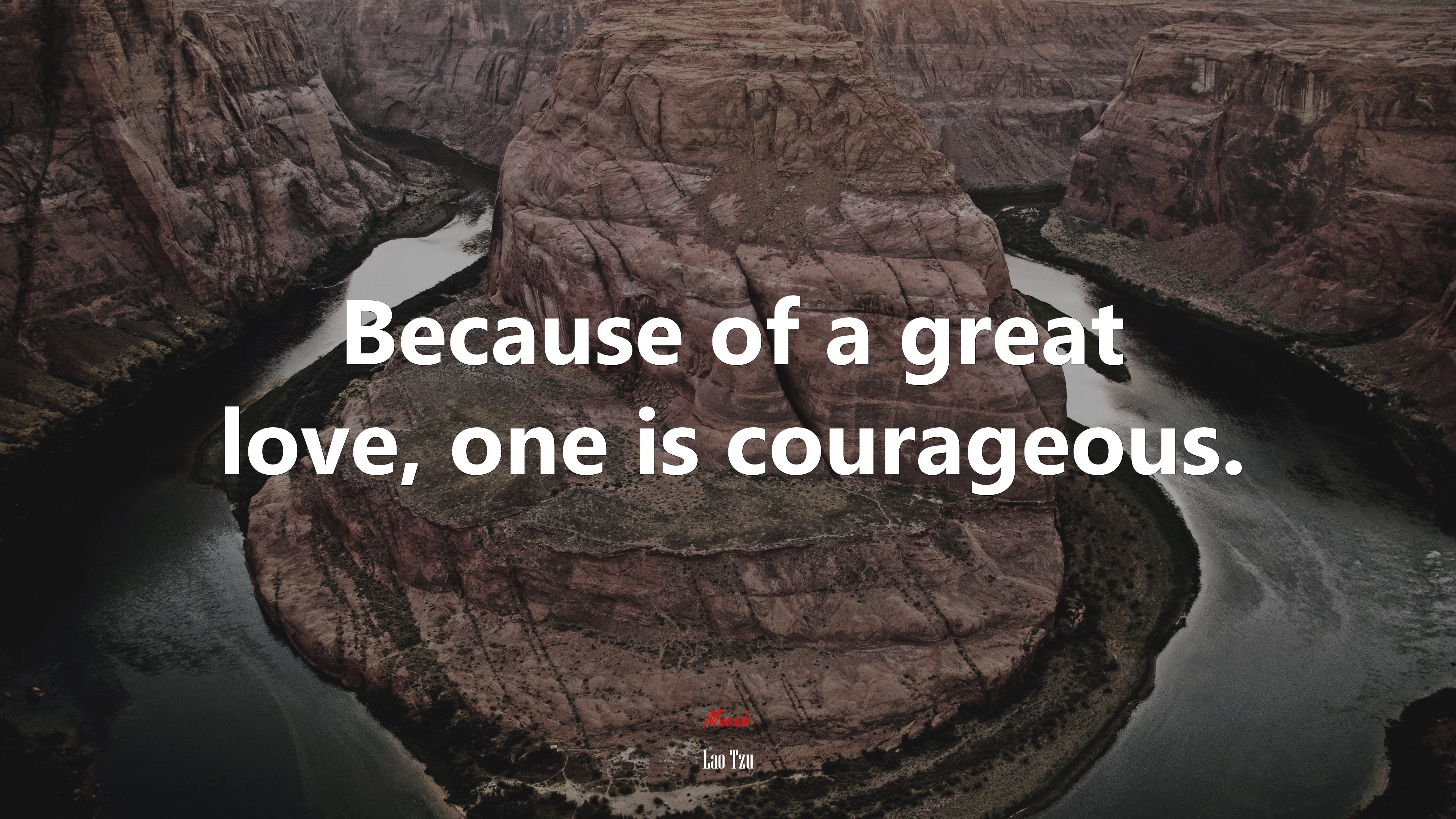 Because of a great love, one is courageous. | Lao Tzu quote HD Wallpaper