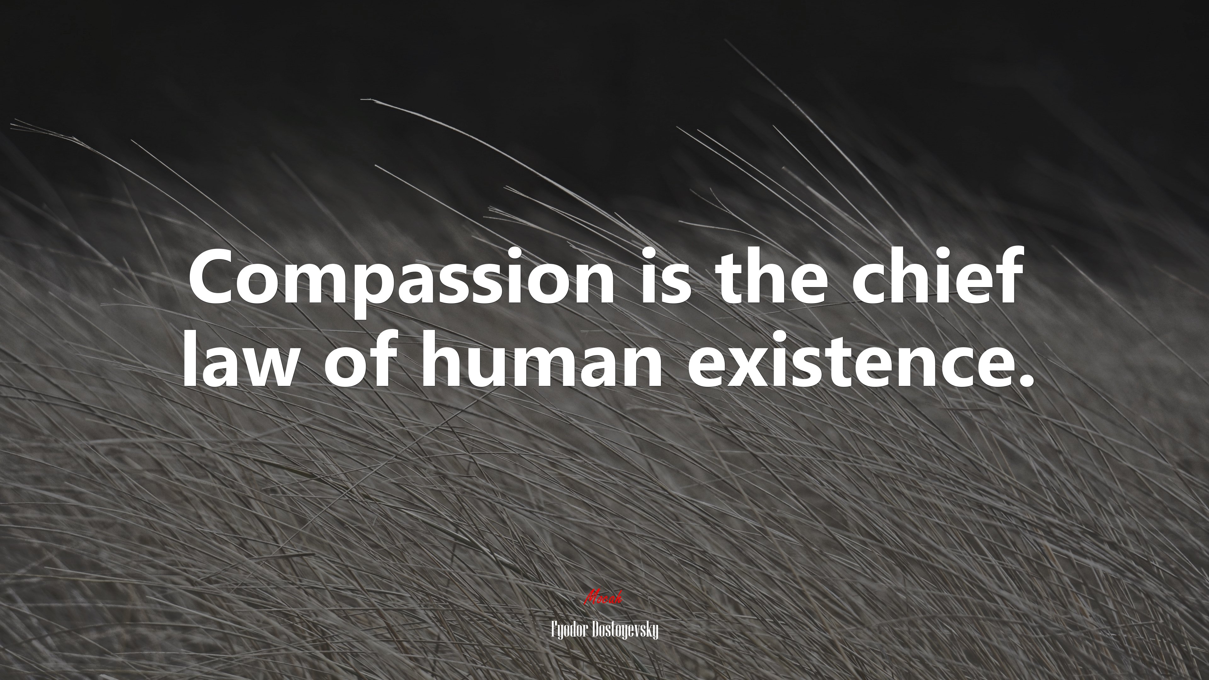 Compassion is the chief law of human existence. | Fyodor Dostoyevsky quote HD Wallpaper