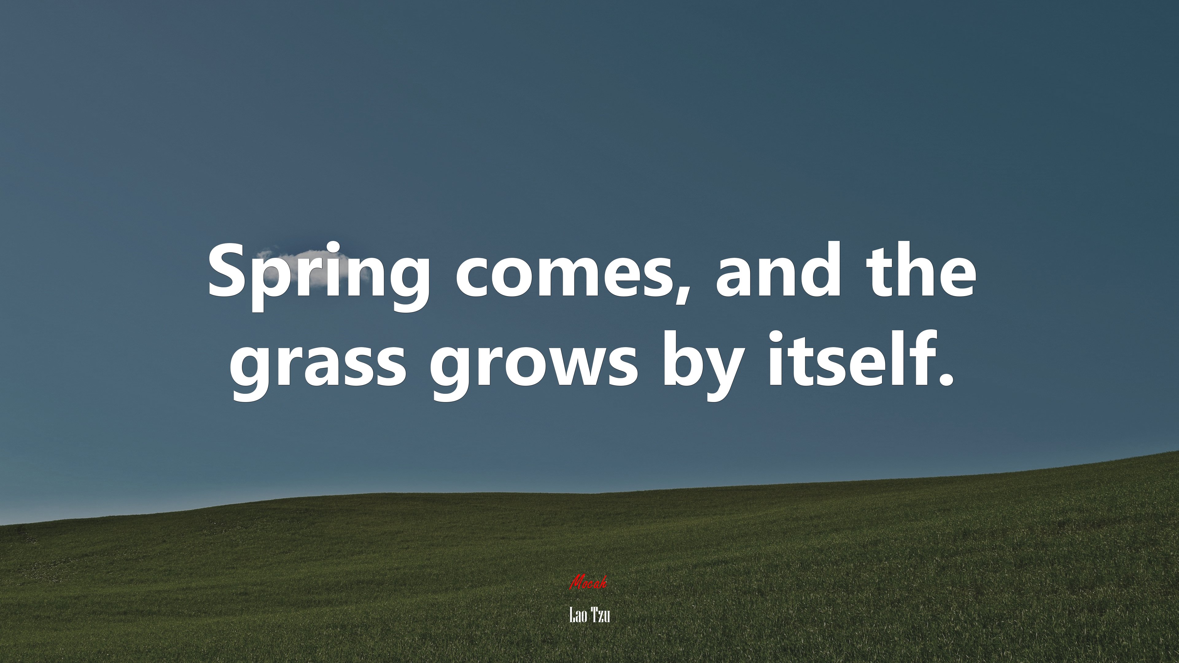 Spring comes, and the grass grows by itself. | Lao Tzu quote HD Wallpaper