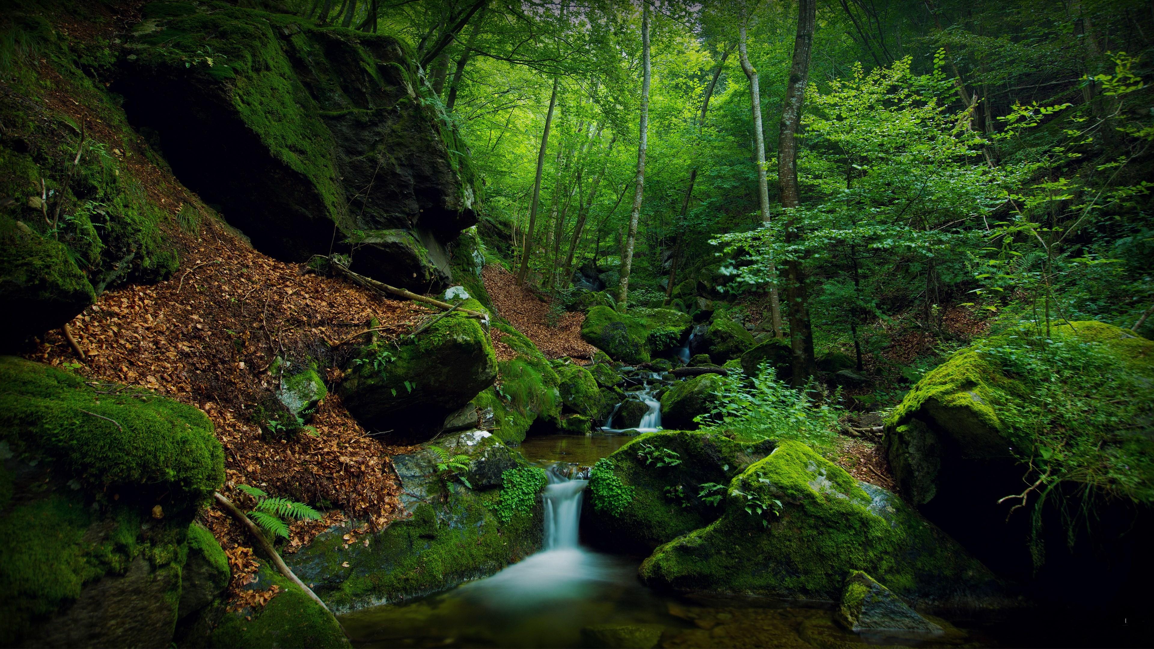 Mossy rocks and a stream in a forest HD Wallpaper