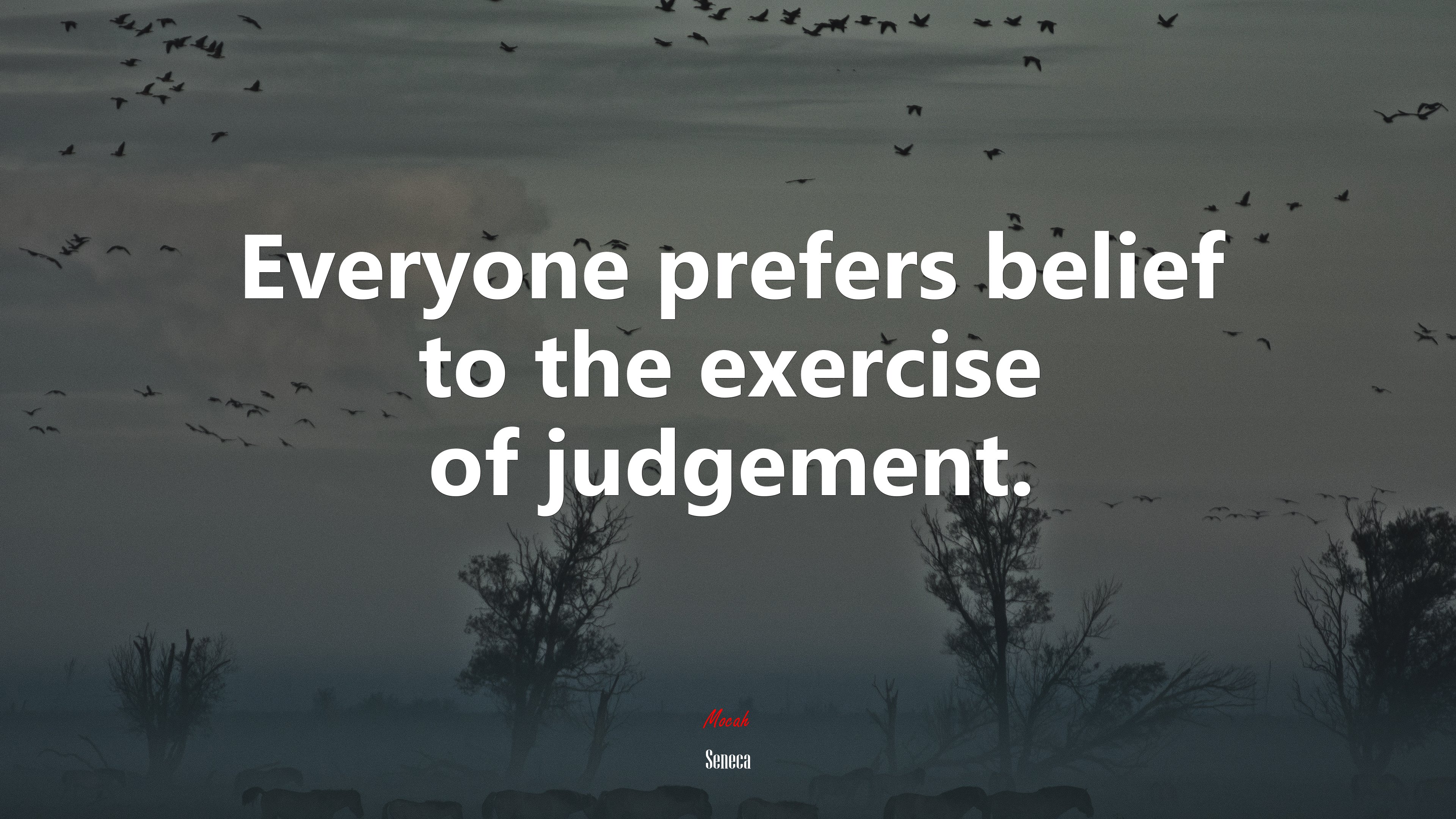 Everyone prefers belief to the exercise of judgement. | Seneca quote HD Wallpaper