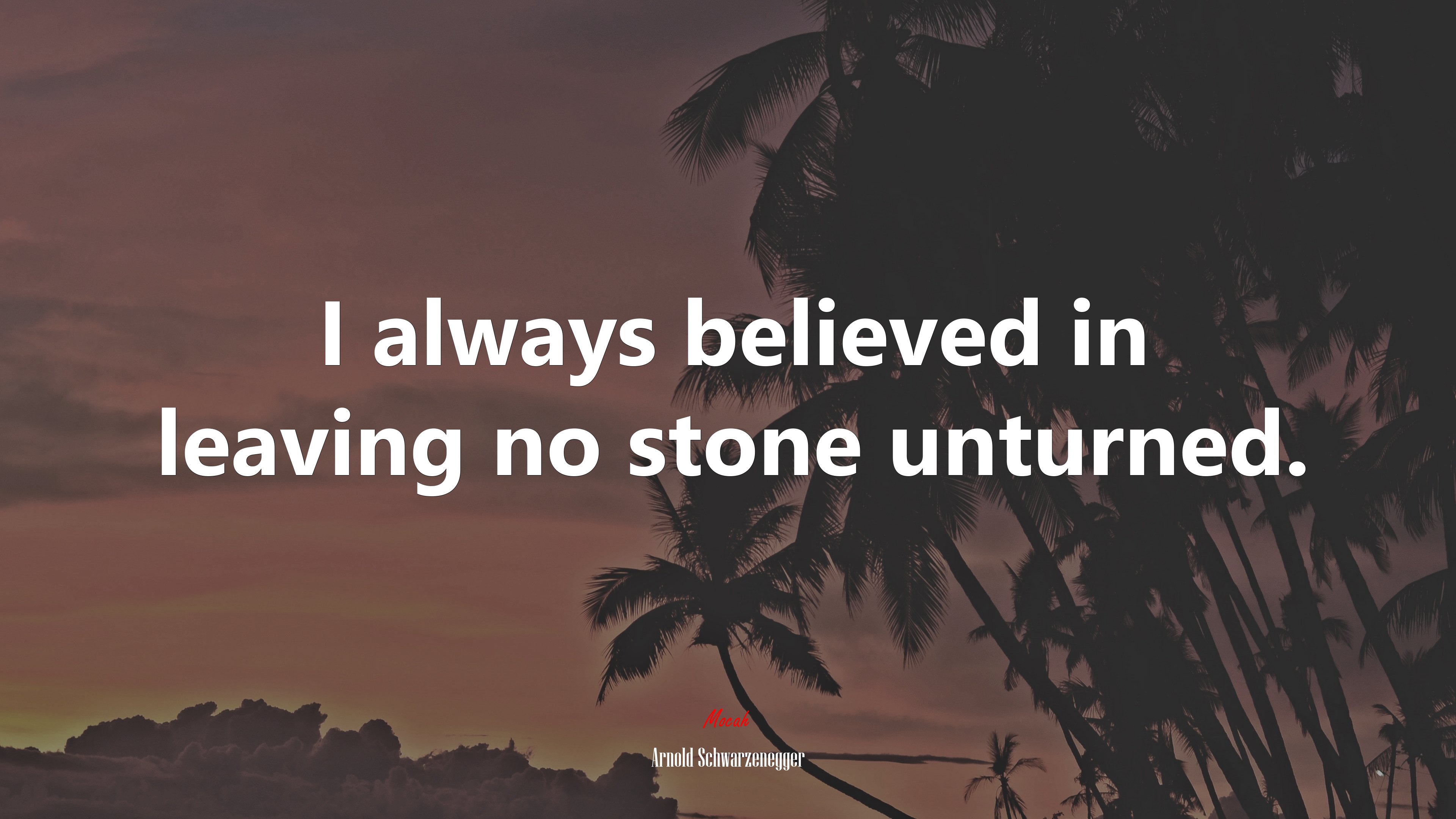 I always believed in leaving no stone unturned. | Arnold Schwarzenegger quote HD Wallpaper