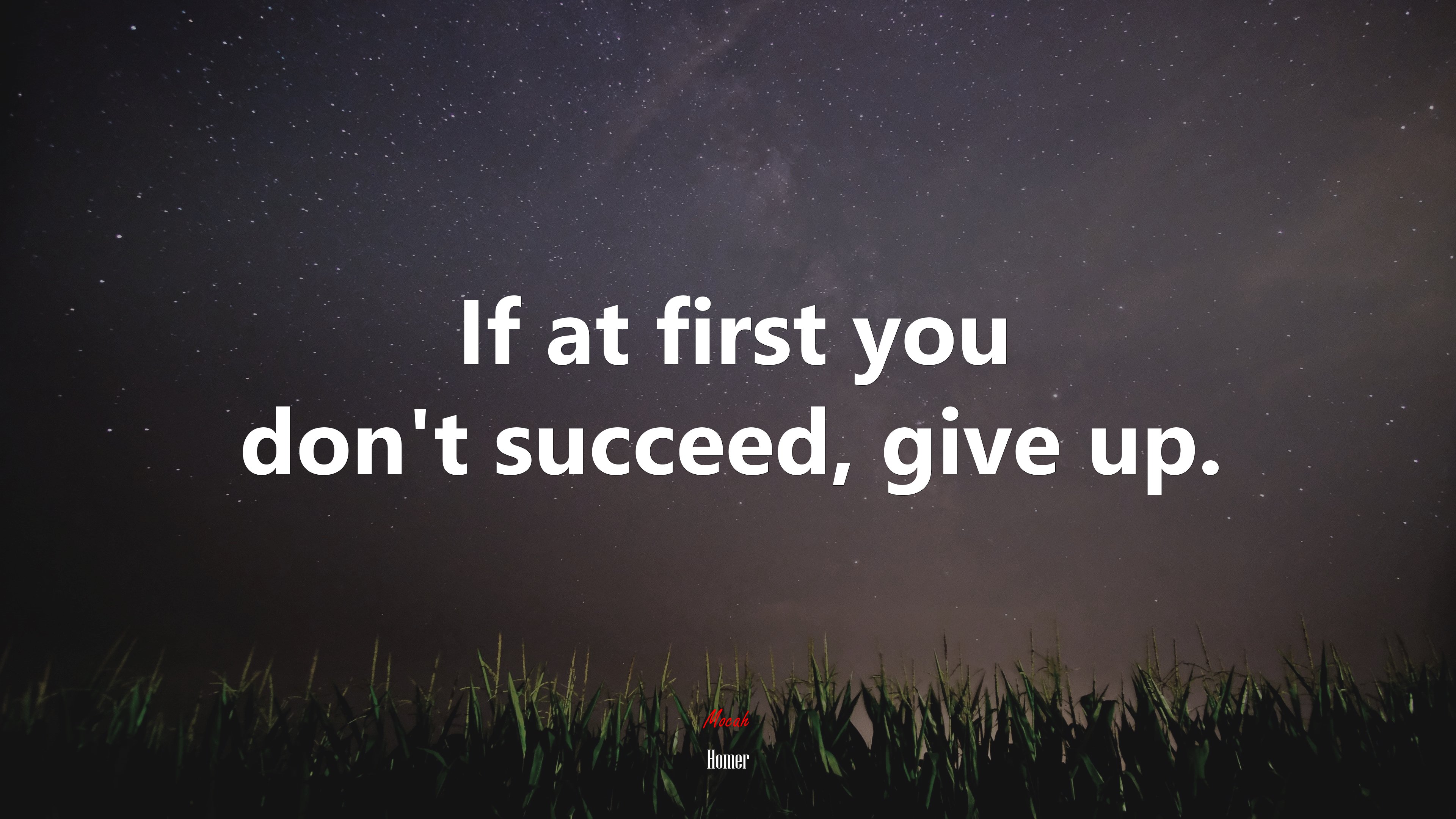 If at first you don’t succeed, give up. | Homer quote HD Wallpaper