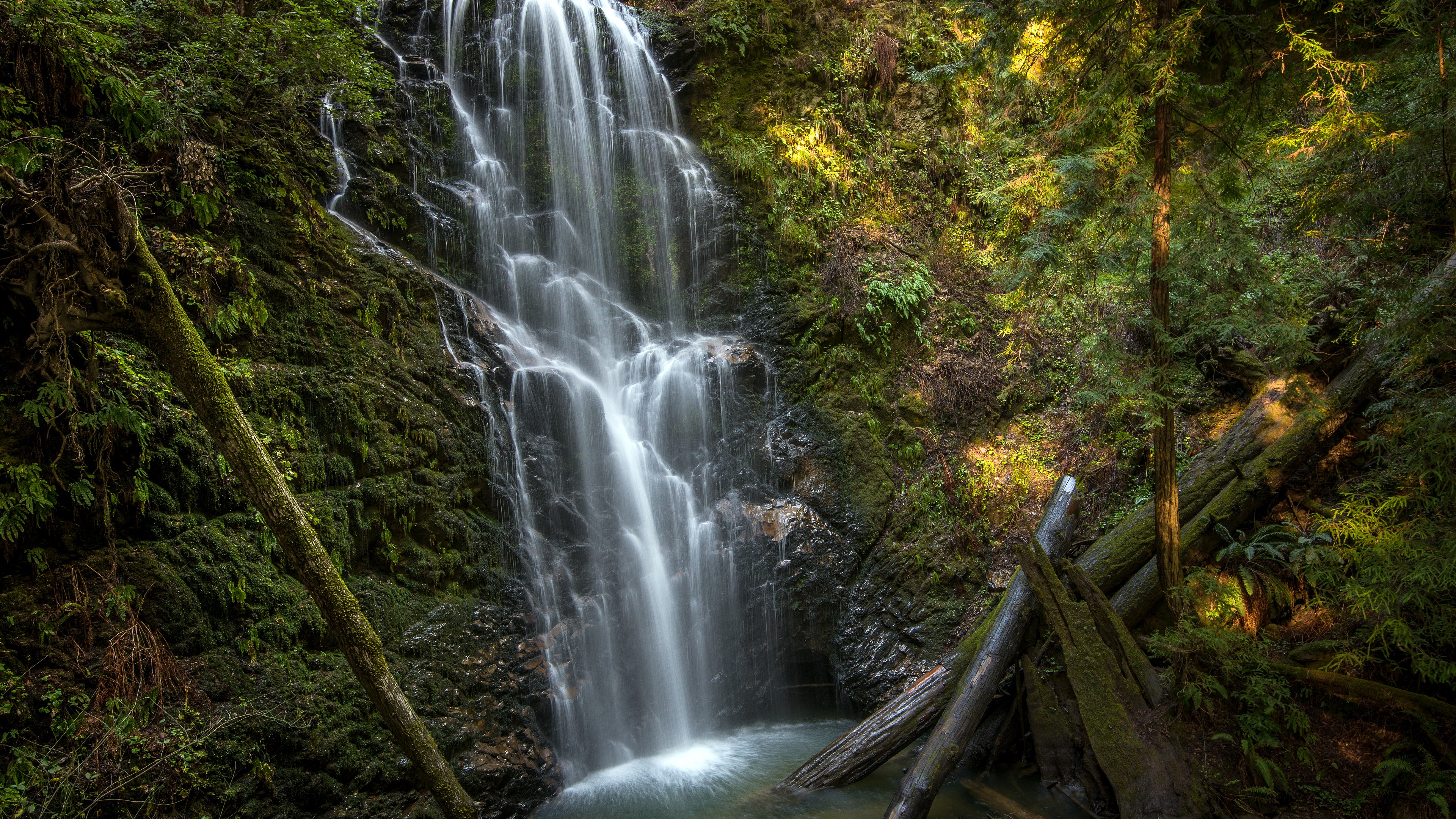 Waterfall cascading through a mossy forest with fallen logs HD Wallpaper