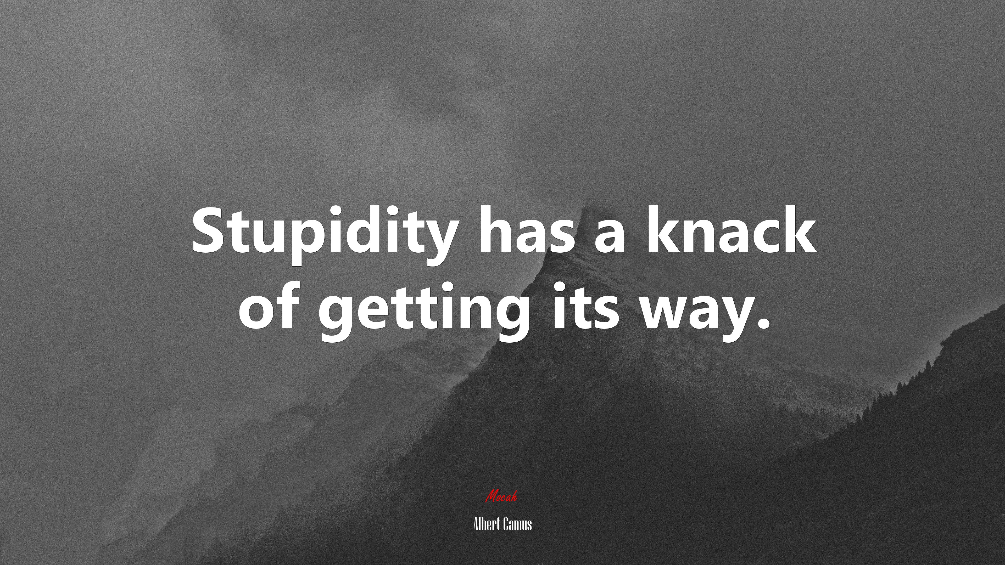 Stupidity has a knack of getting its way. | Albert Camus quote HD Wallpaper