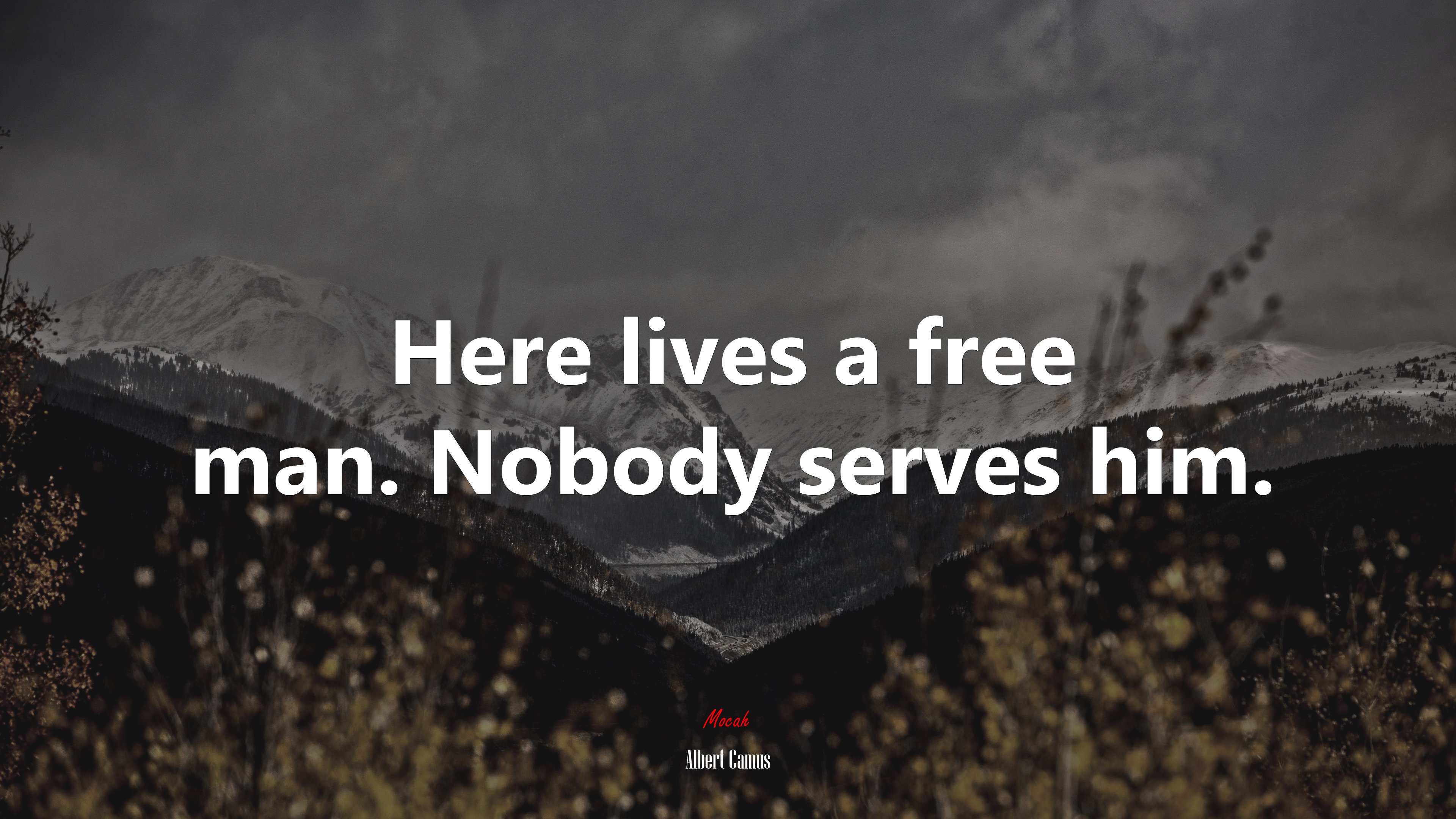 Here lives a free man. Nobody serves him. | Albert Camus quote HD Wallpaper