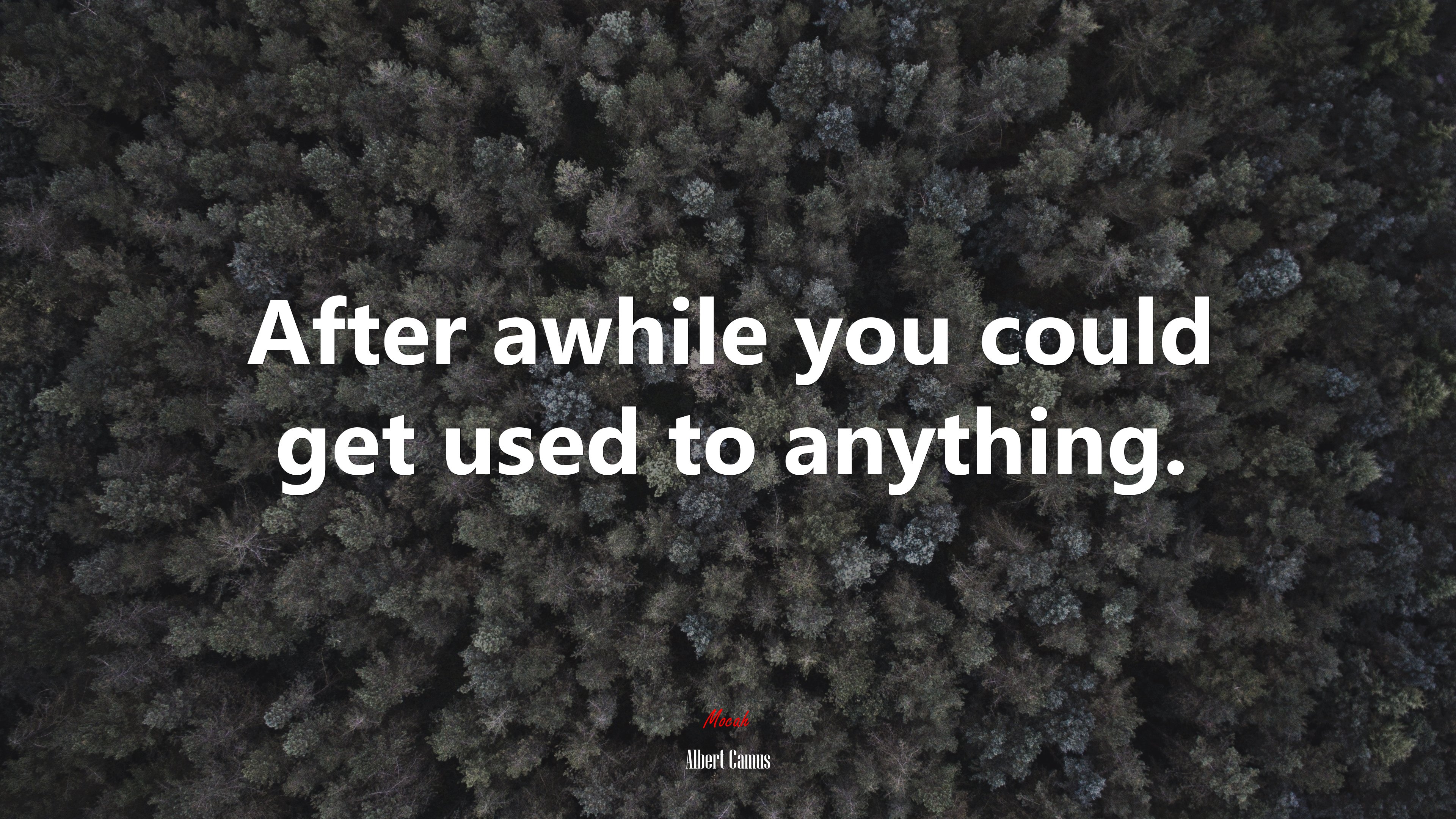 After awhile you could get used to anything. | Albert Camus quote HD Wallpaper