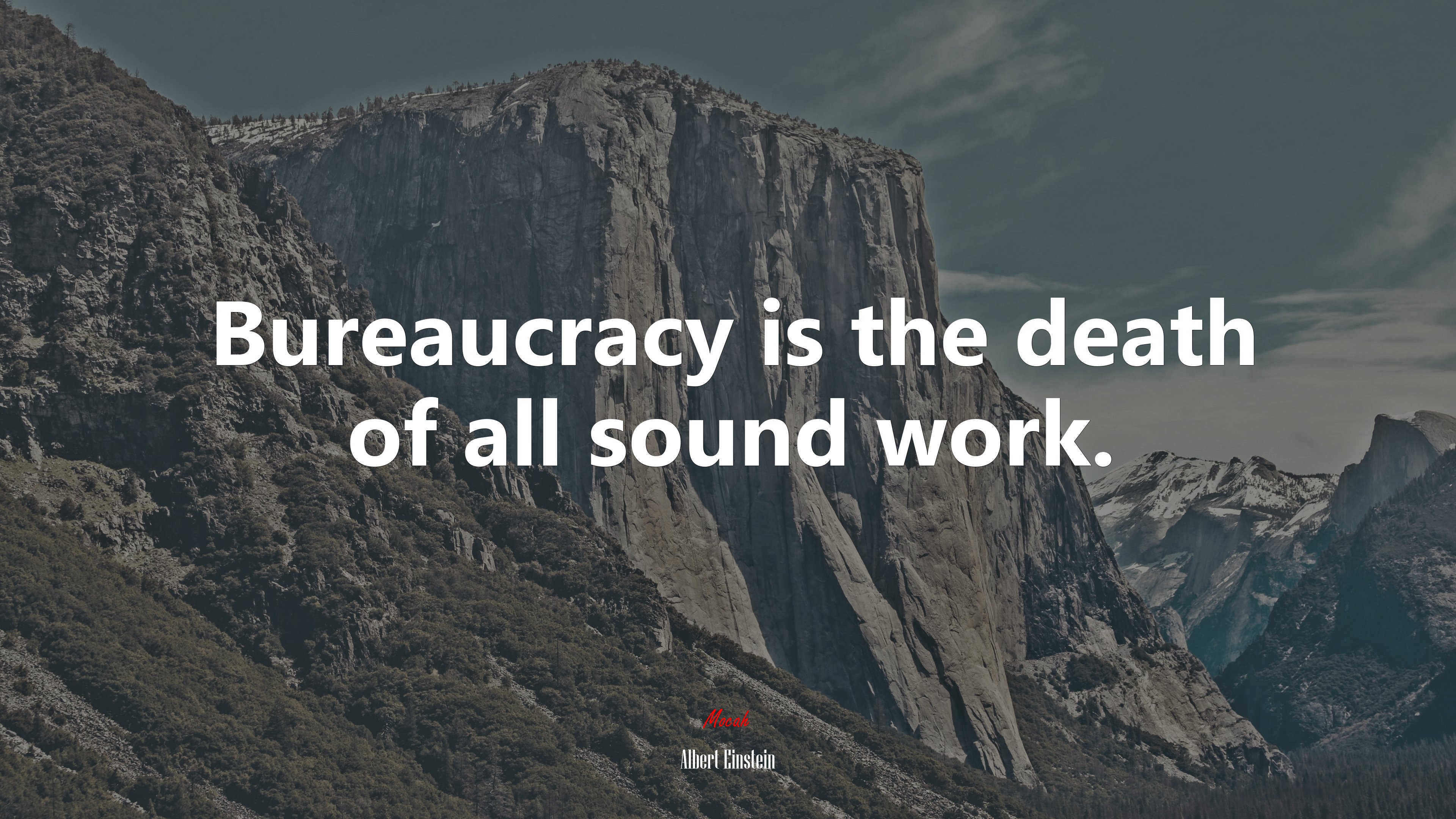Bureaucracy is the death of all sound work. | Albert Einstein quote HD Wallpaper