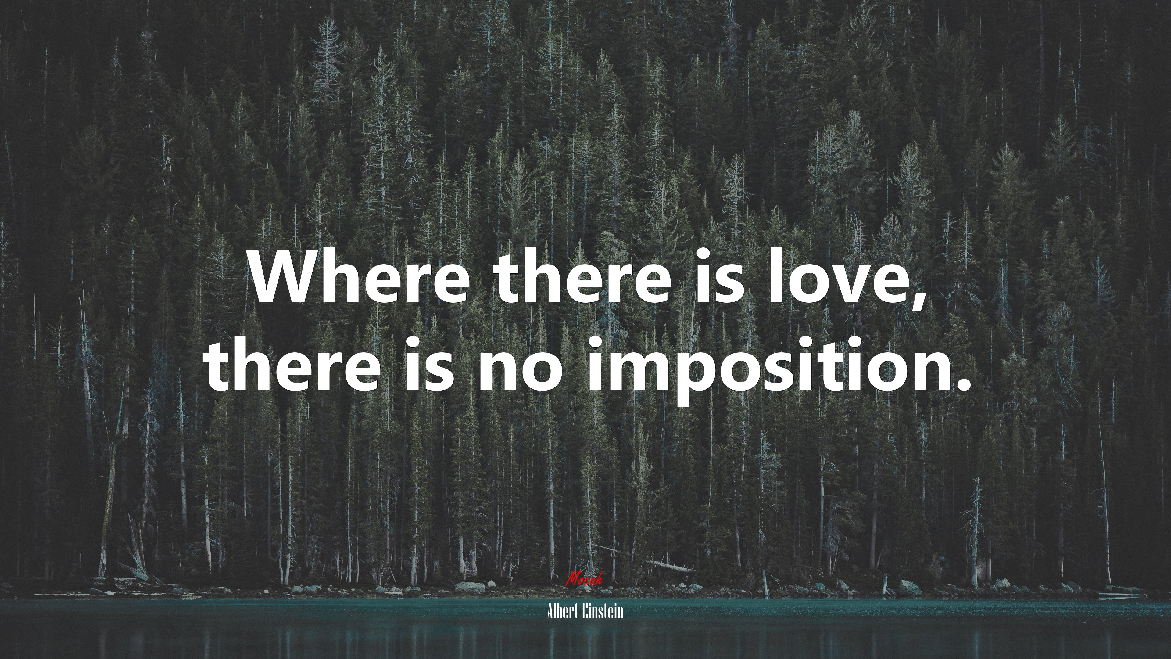 Where there is love, there is no imposition. | Albert Einstein quote HD Wallpaper