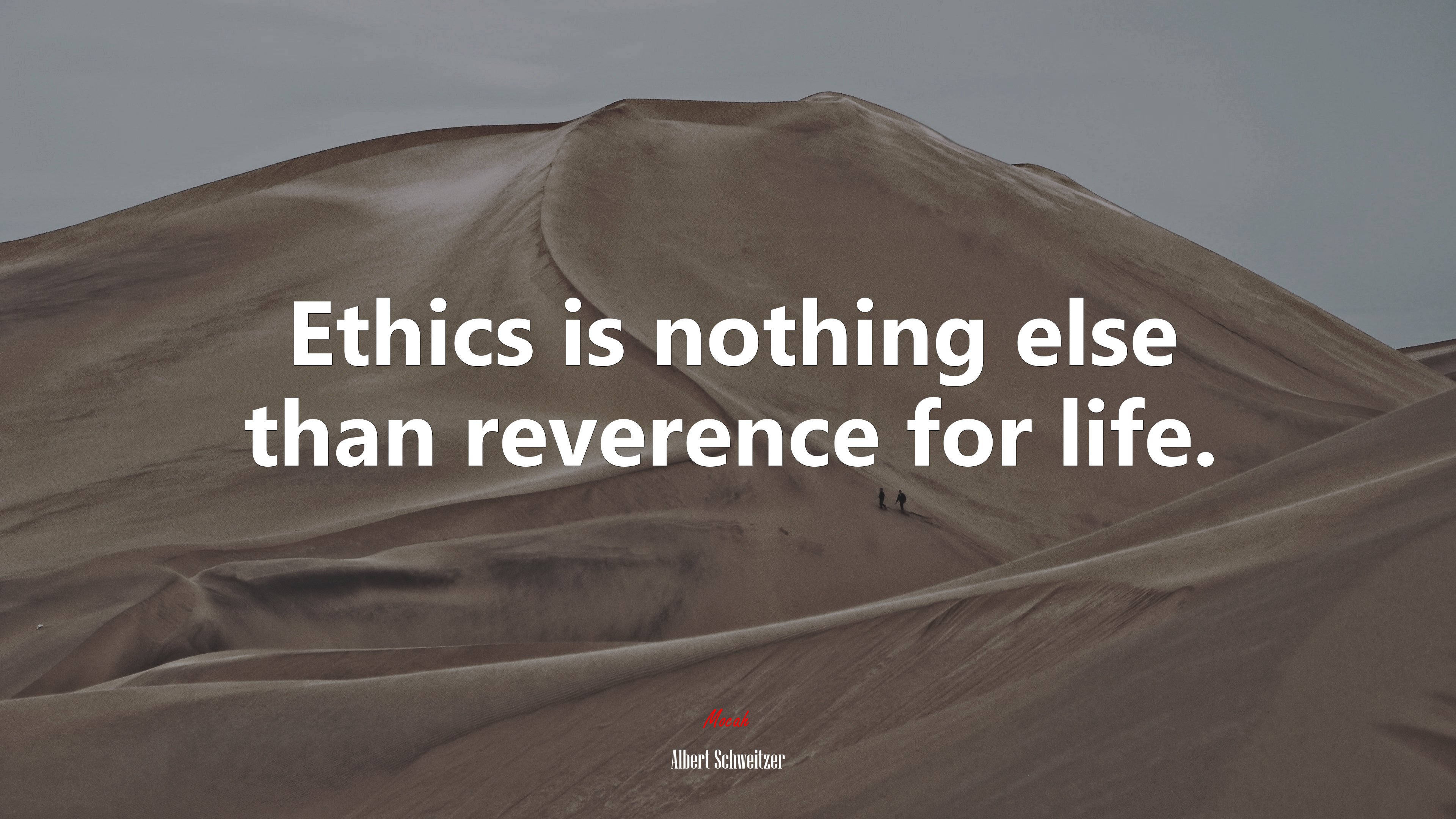 Ethics is nothing else than reverence for life. | Albert Schweitzer quote HD Wallpaper