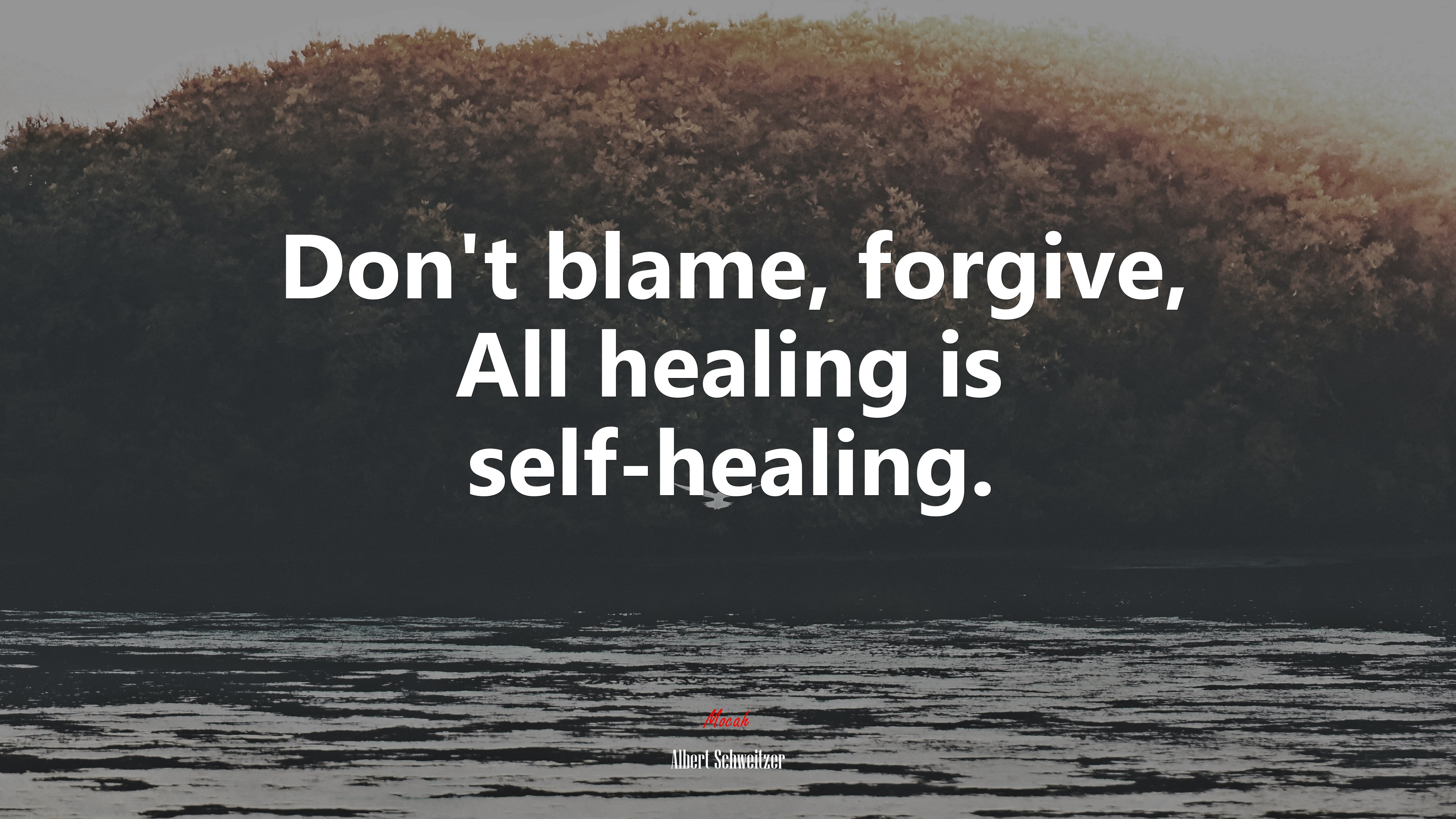 Don’t blame, forgive, All healing is self-healing. | Albert Schweitzer quote HD Wallpaper