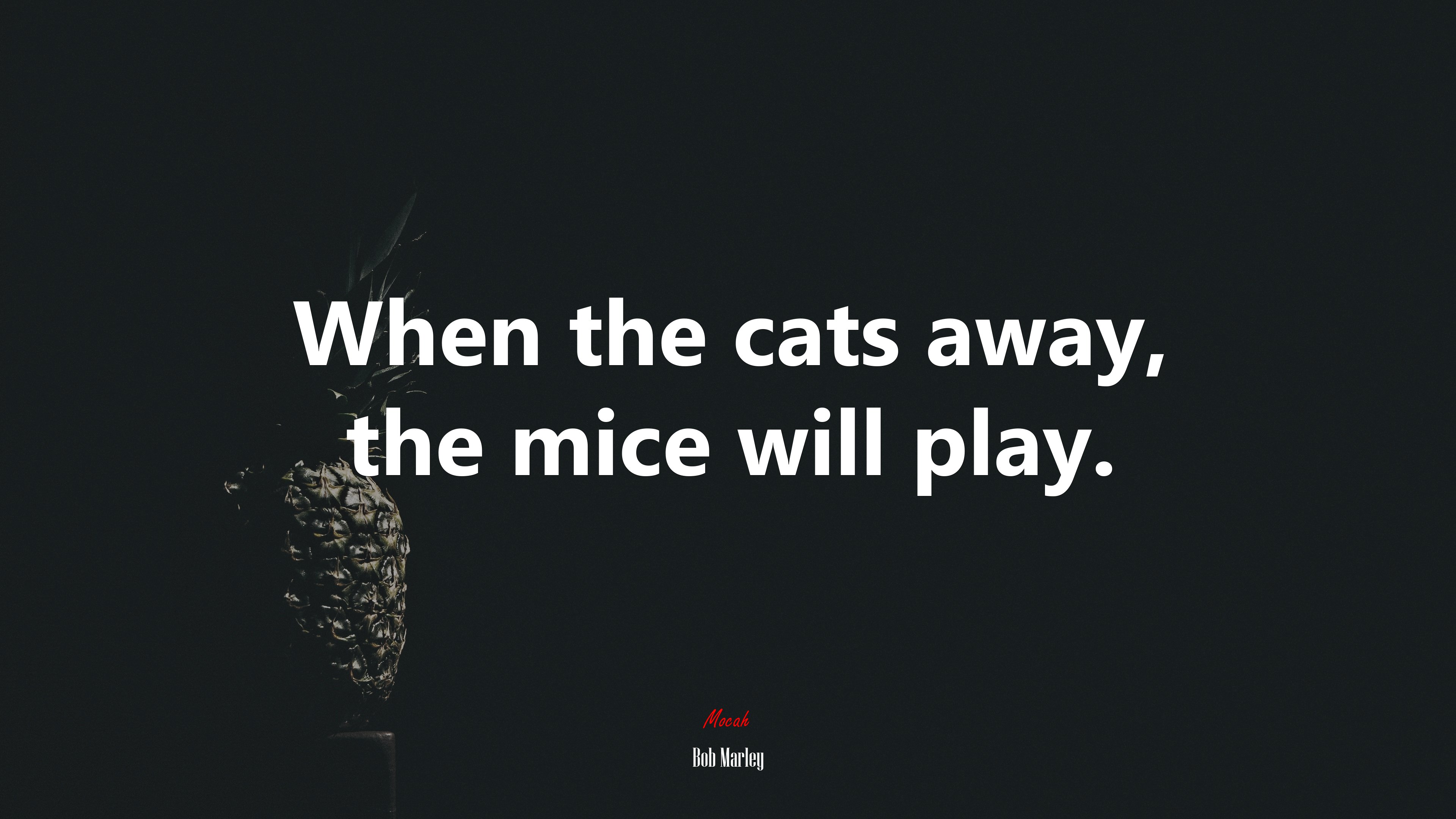 When the cats away, the mice will play. | Bob Marley quote HD Wallpaper