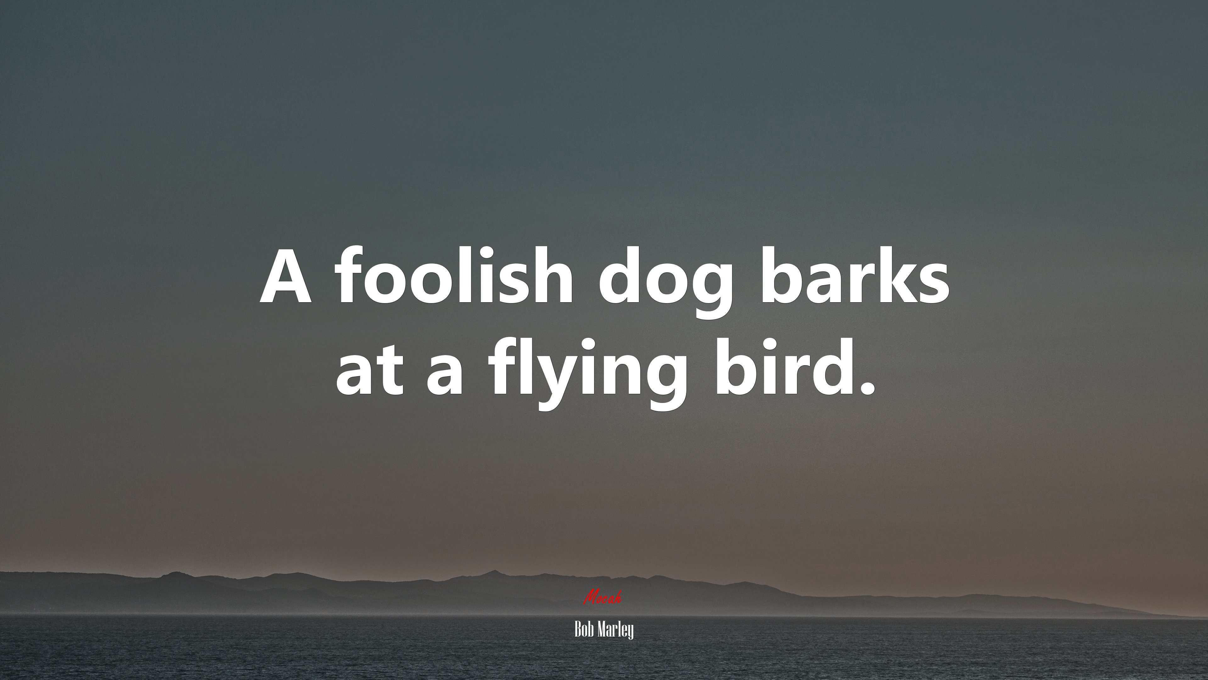 A foolish dog barks at a flying bird. | Bob Marley quote HD Wallpaper