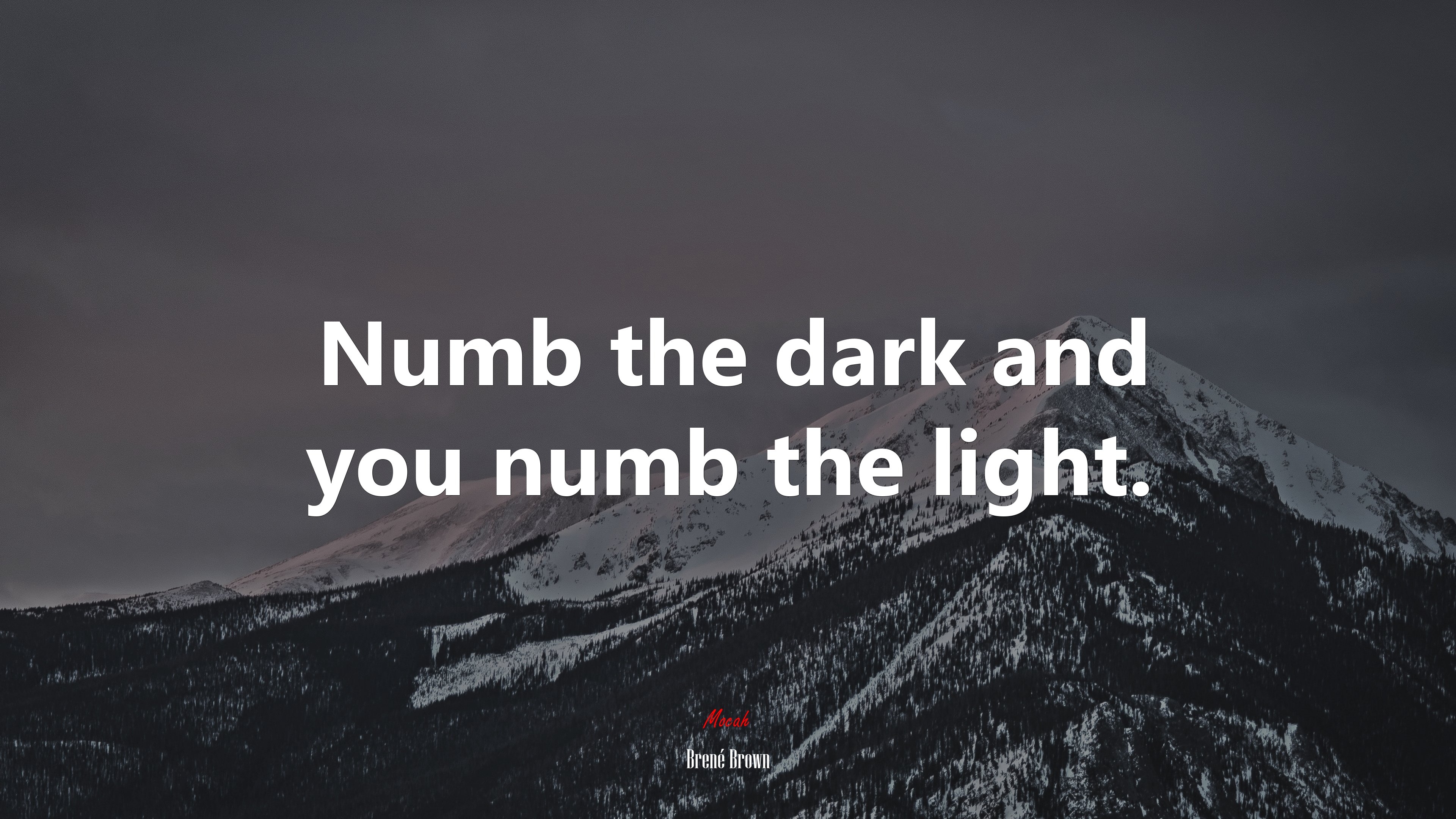 Numb the dark and you numb the light. | Brené Brown quote HD Wallpaper
