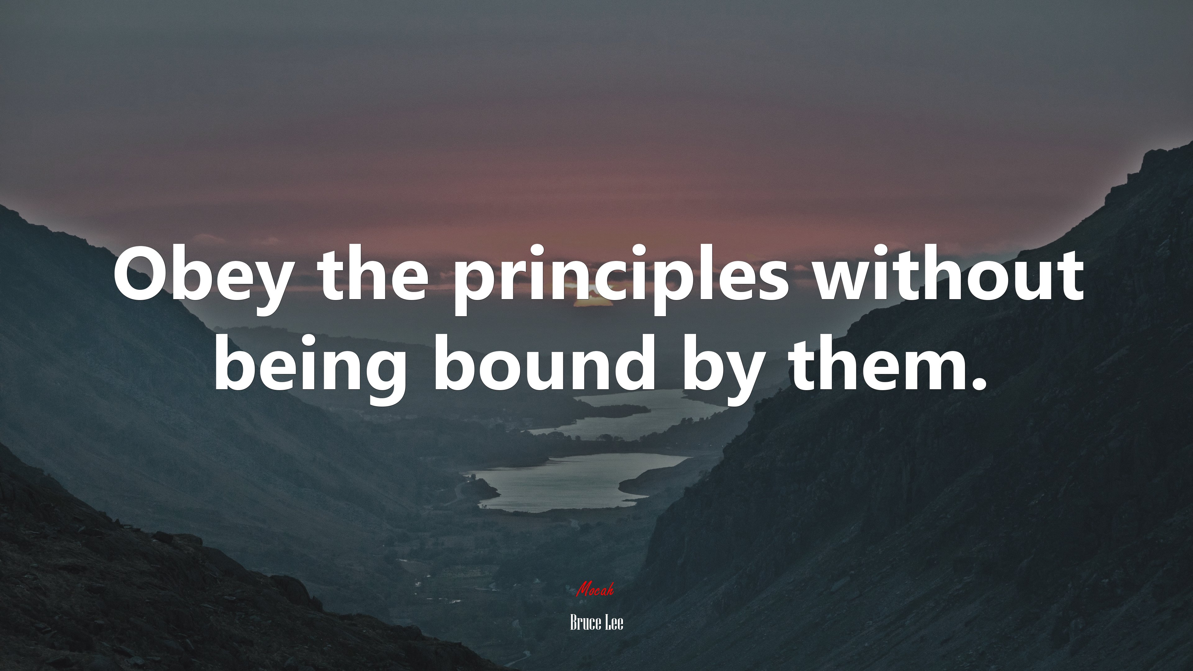 Obey the principles without being bound by them. | Bruce Lee quote HD Wallpaper