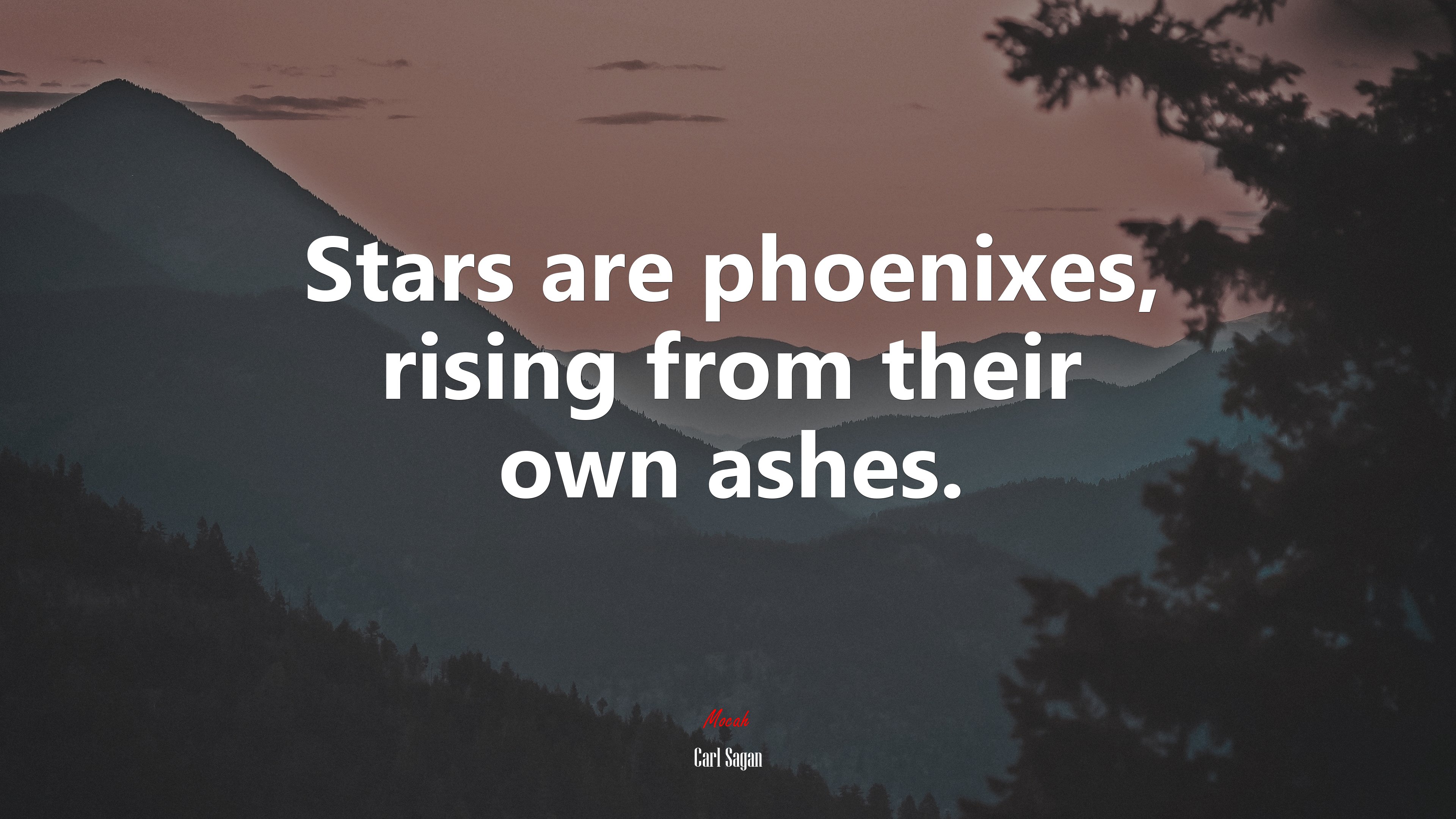 Stars are phoenixes, rising from their own ashes. | Carl Sagan quote HD Wallpaper