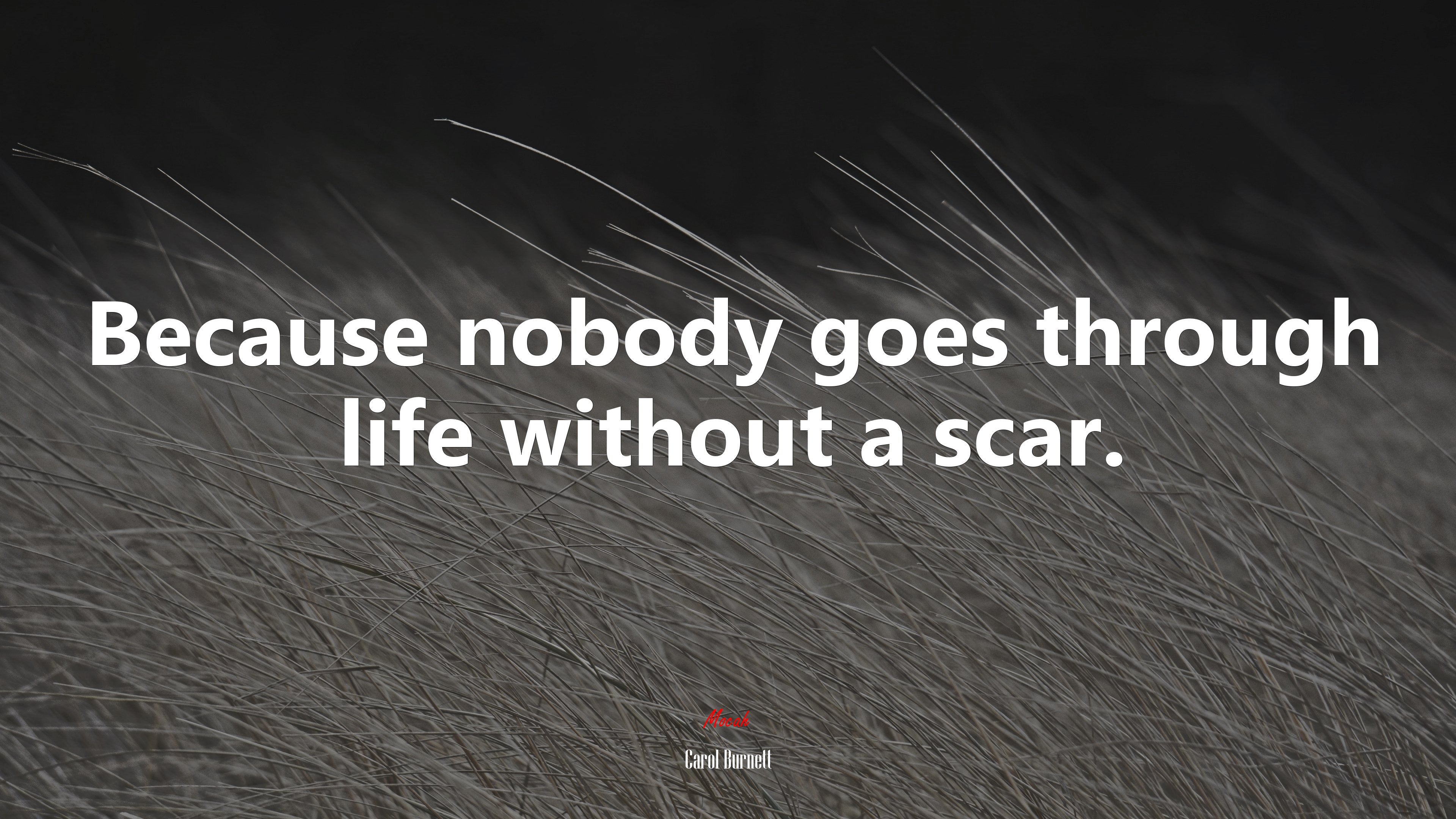 Because nobody goes through life without a scar. | Carol Burnett quote HD Wallpaper