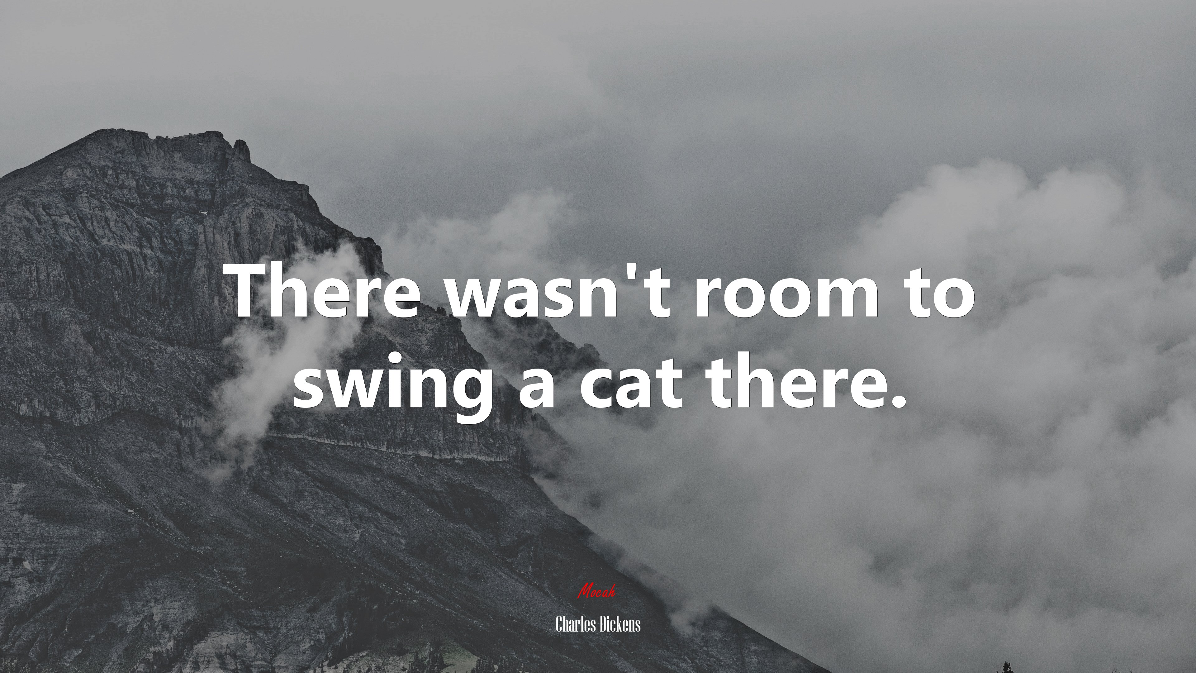 There wasn’t room to swing a cat there. | Charles Dickens quote HD Wallpaper