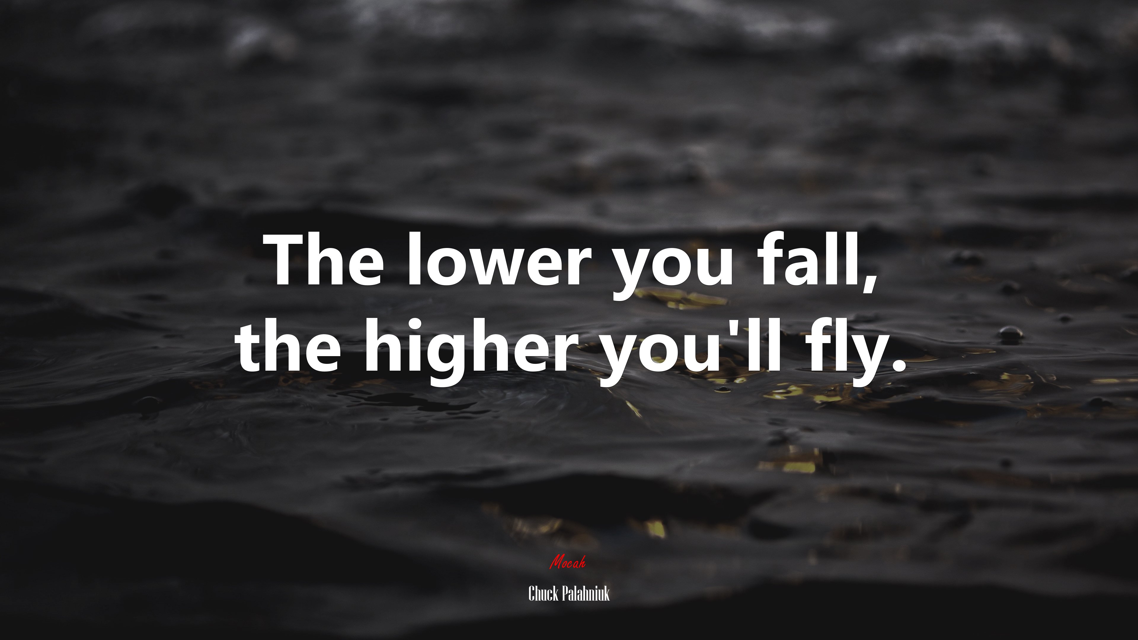 The lower you fall, the higher you’ll fly. | Chuck Palahniuk quote HD Wallpaper