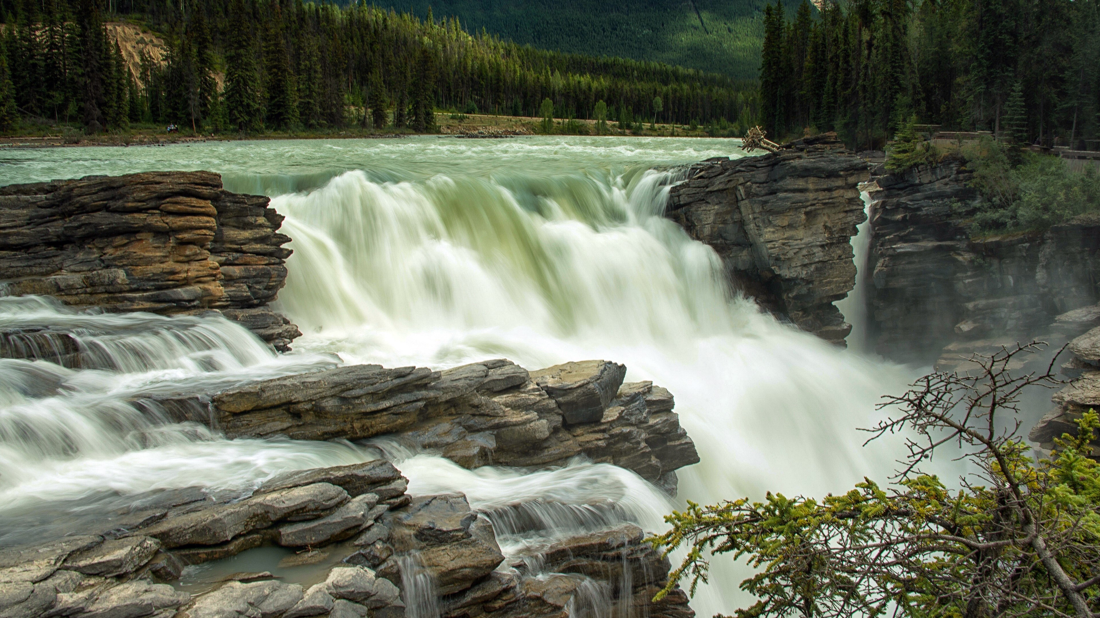 Athabasca Falls in Jasper National Park, Canada HD Wallpaper